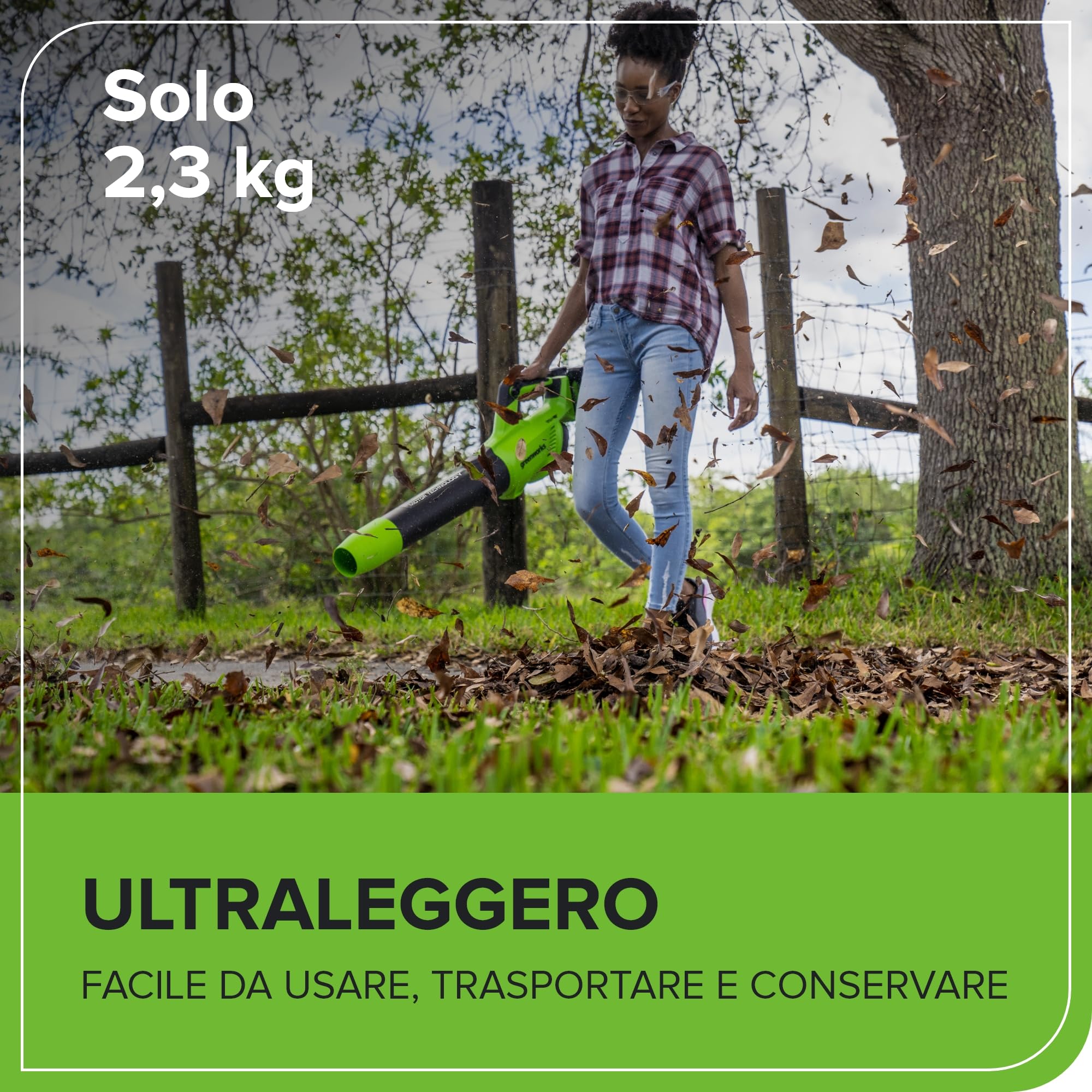 Greenworks Tools 48V(24V x 2）Soffiatore Assiale a Batteria, Ioni di Litio Velocità d'Aria 217 Km/h Potente Tubo Soffiatore Assiale Controllo di Velocità Elettronico Con Batteria e Caricatore GD24X2AB