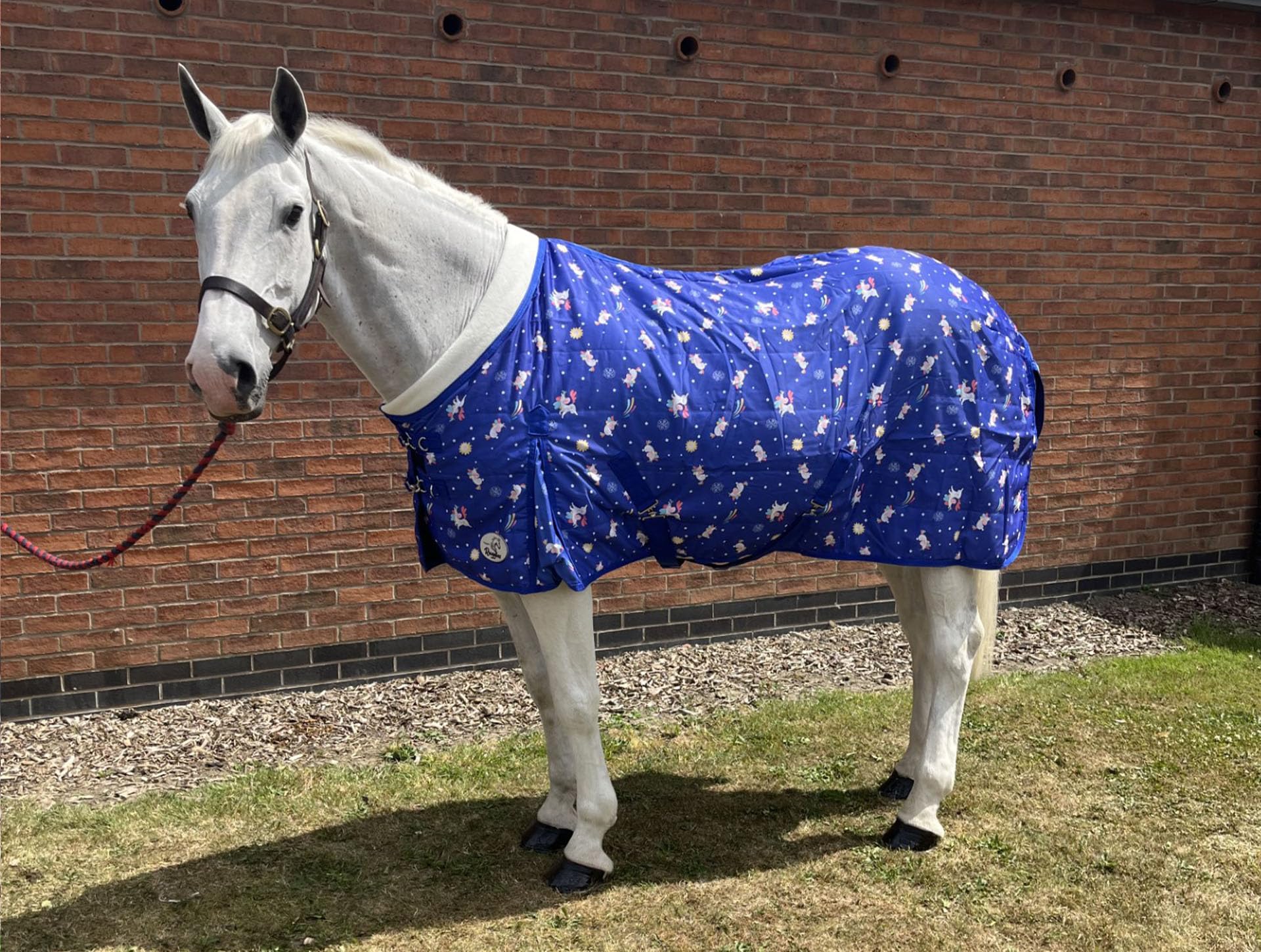 Ruggles 50g Lightweight Stable Rug for Horse/Pony | Smart Versatile Rug Perfect for Warmer Days or as an Under Layer in Colder Weather (Unicorn Print, 6')