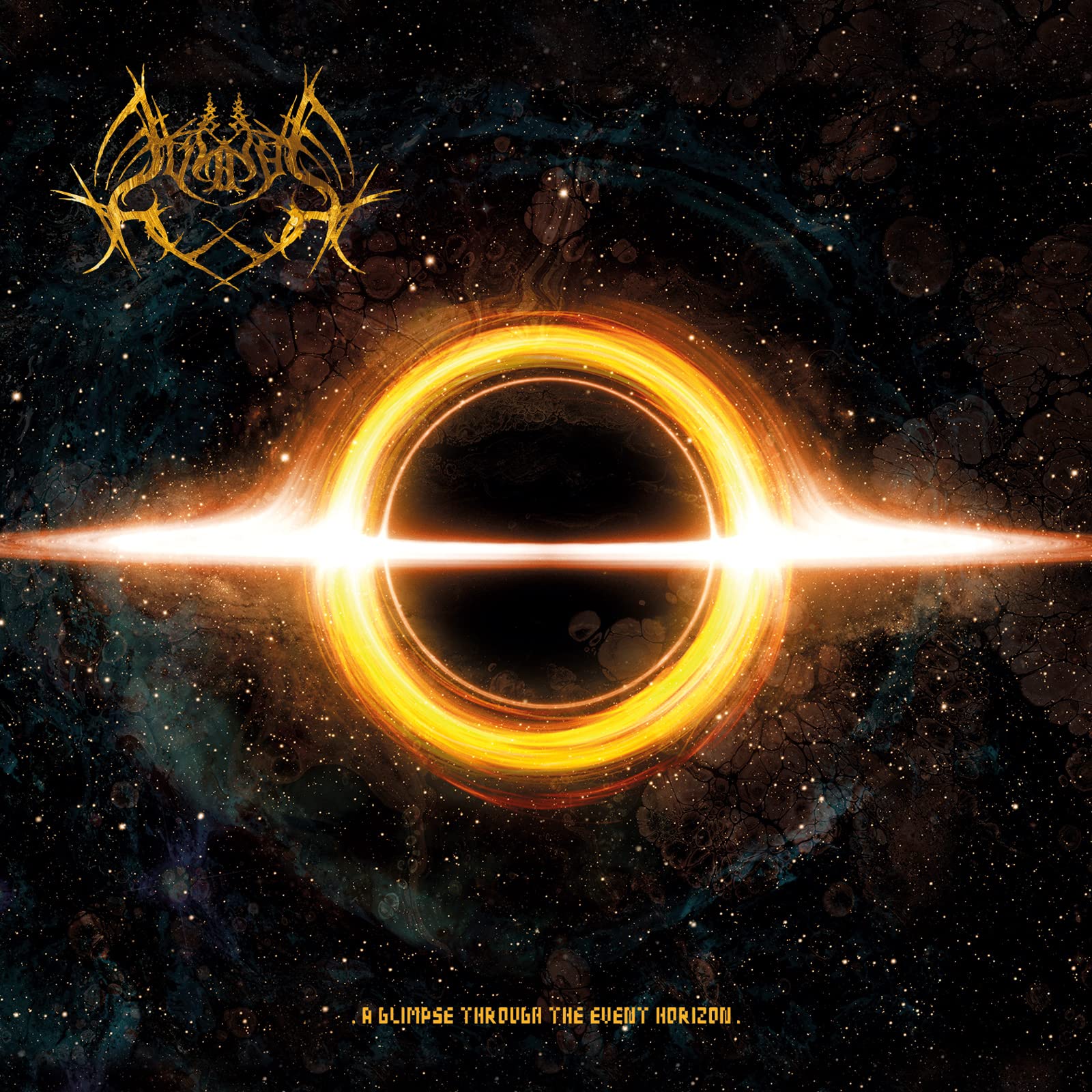 A Glimpse through The Event Horizon