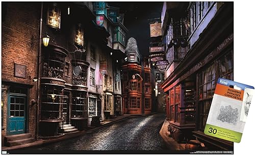 The Wizarding World Harry Potter - Póster de pared con alfileres de Diagon Alley