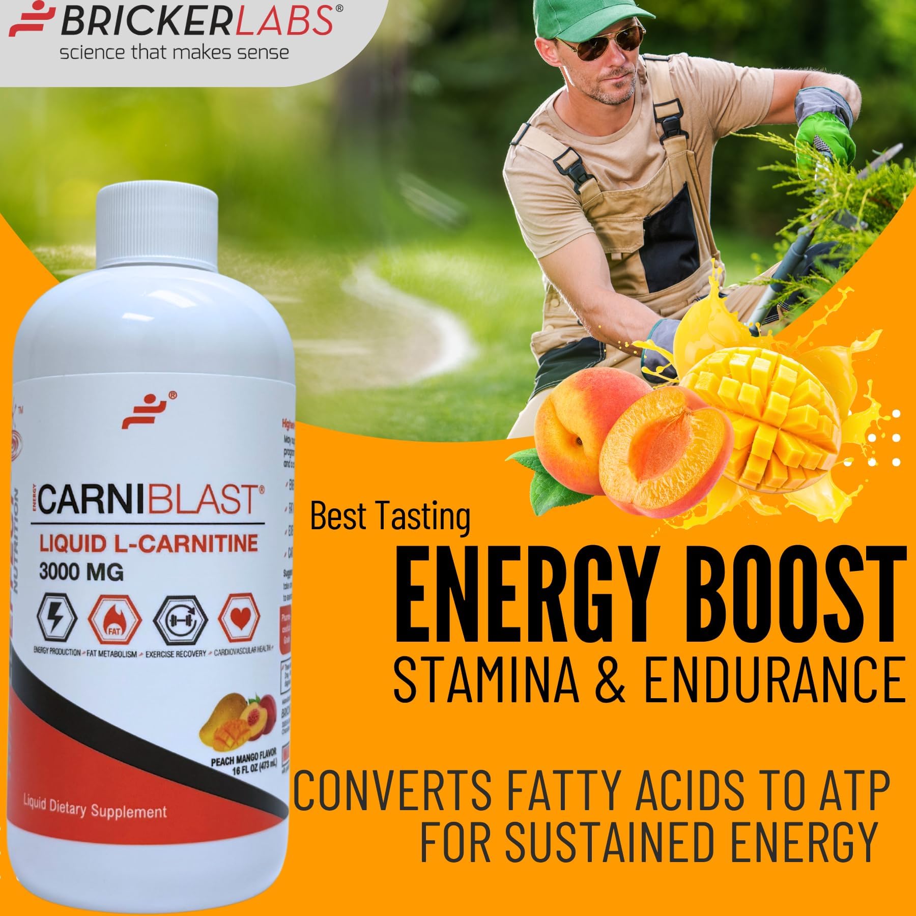 l carnitine einnahme L-Carnitine Powder