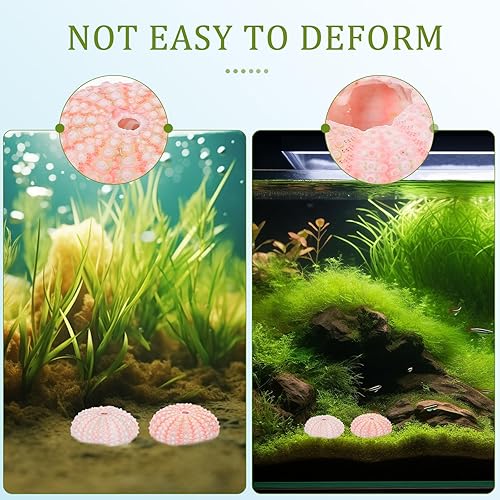 Miniatura 5 de Decoración natural de conchas de erizos de mar, 6 conchas de erizo de mar para manualidades y decoración del hogar, decoración de playa, jarrón,