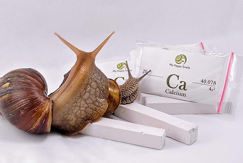 Miniatura 1 de Calcio orgánico para caracoles de mascotas (3 varillas), para todo tipo de caracoles de tierra: caracol de jardín, caracol africano gigante, helice