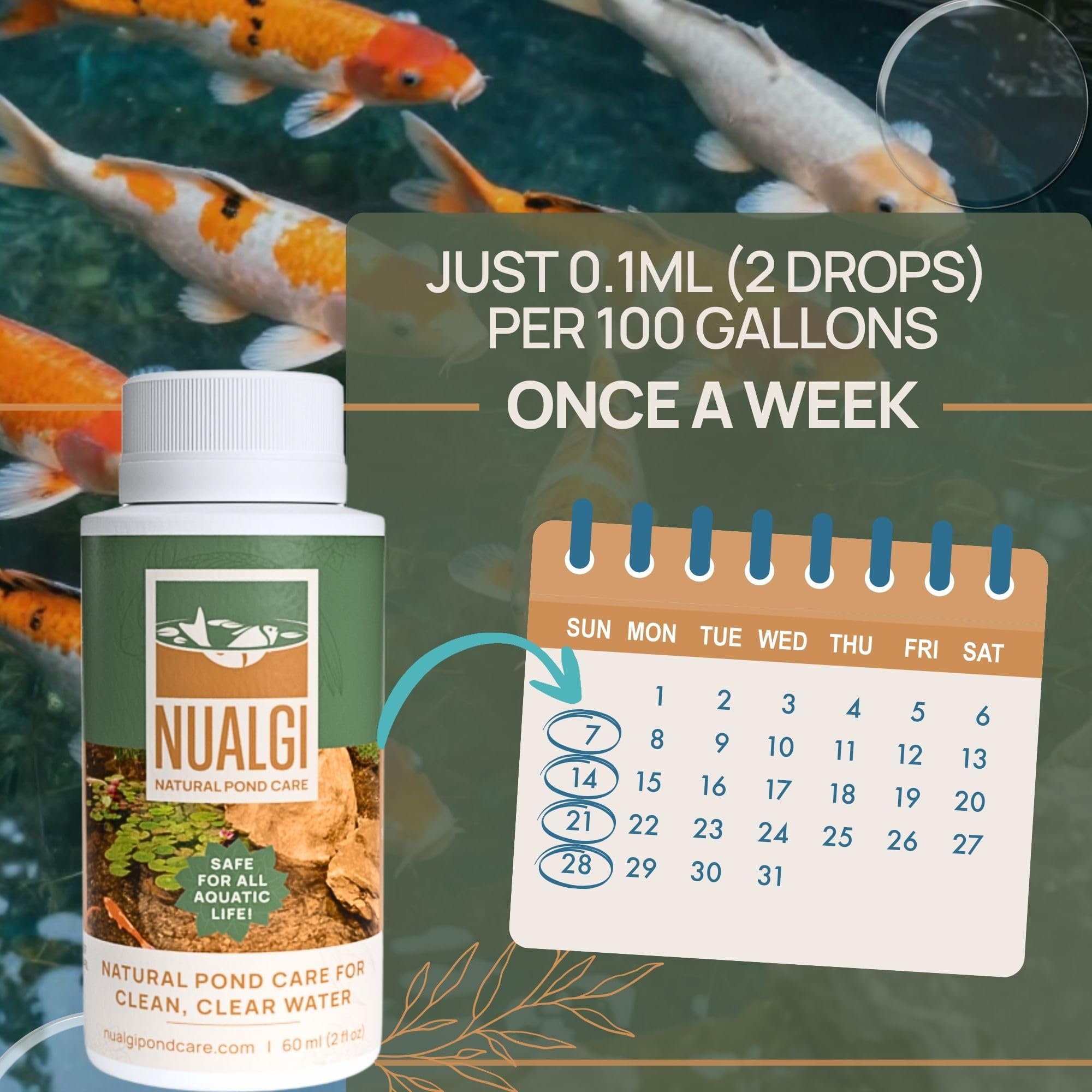 Detergente naturale per laghetti, 60 ml, chiarificatore per laghetti di pesci, sicuro per tutta la vita acquatica, incluso Koi, chiarificatore per acqua per laghetti, tratta fino a
