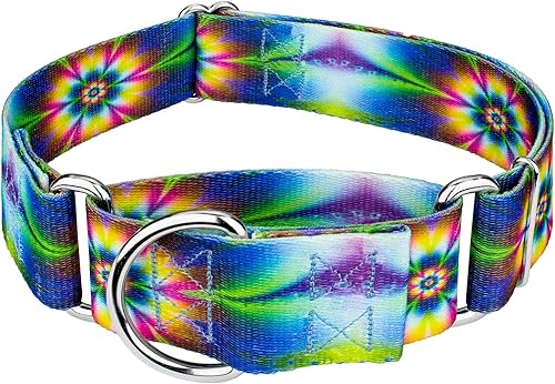 Country Brook Petz - Collar de perro Martingala - ColecciĂłn Groovy Country Brook Petz - Collar de perro Martingala - ColecciĂłn Groovy