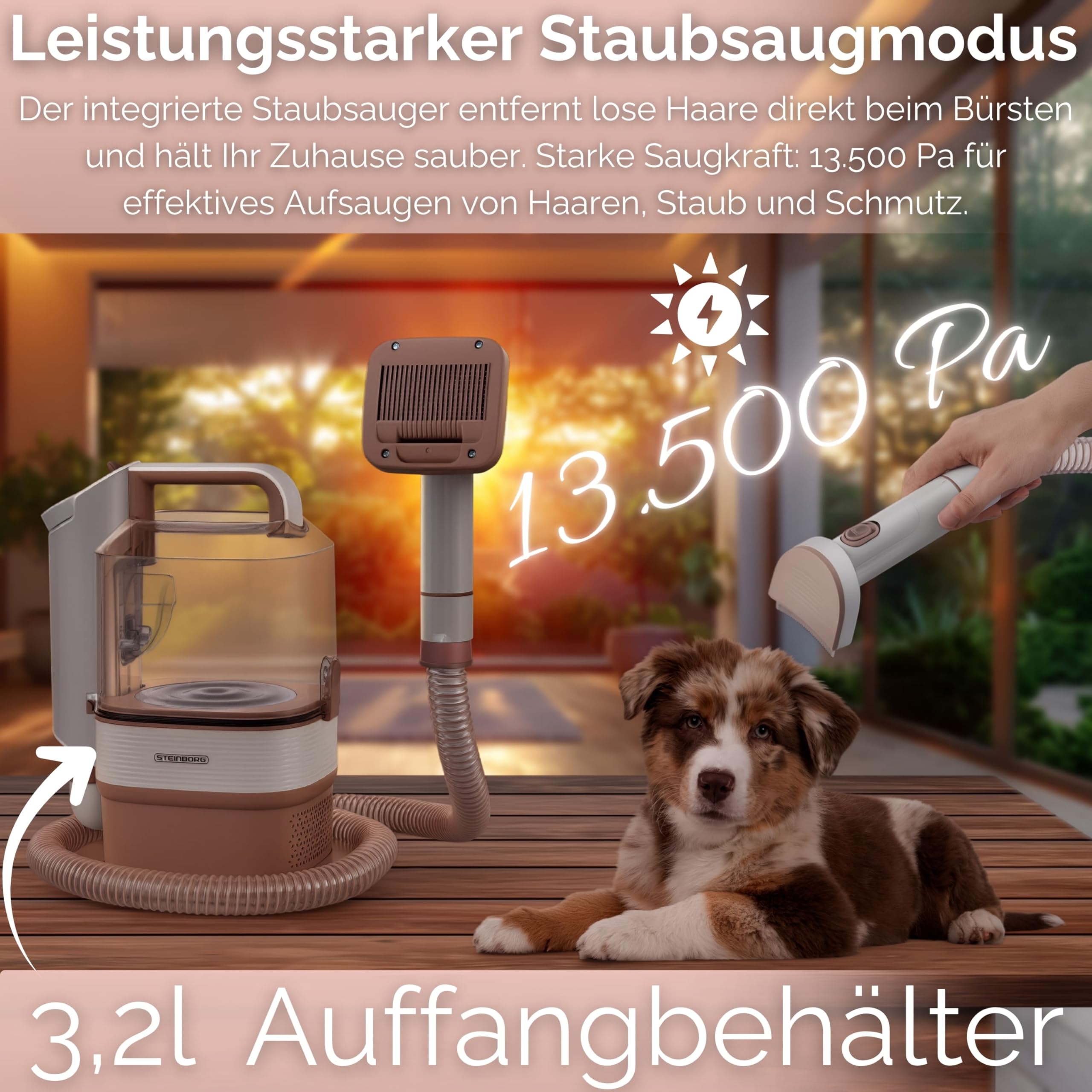 Steinborg® Cortapelos para animales con aspiradora, 13.500 Pa, silenciosa con aspiradora, aspiradora para perros con cepillo, quitapelos y cuidado del pelaje para perros, gatos, juego profesional de