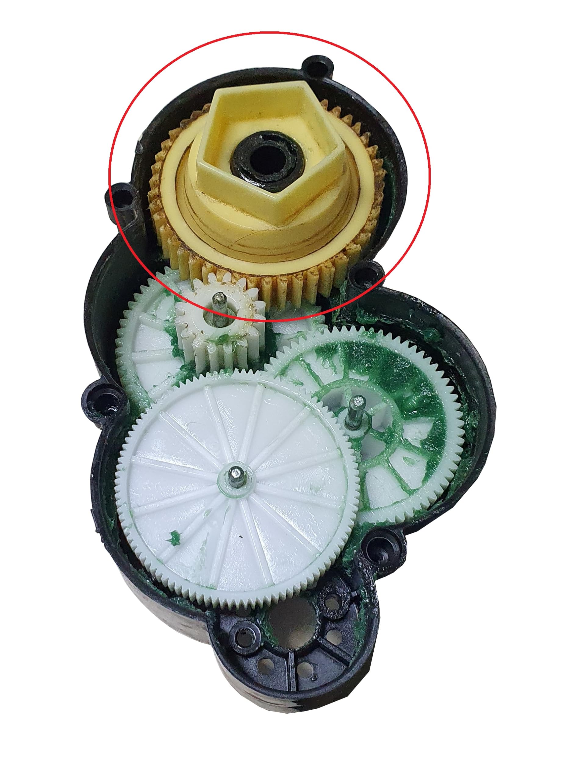 Ingranaggio per motoriduttore Compatibile con Peg Perego Gaucho Corral Ranger Polaris T-Rex