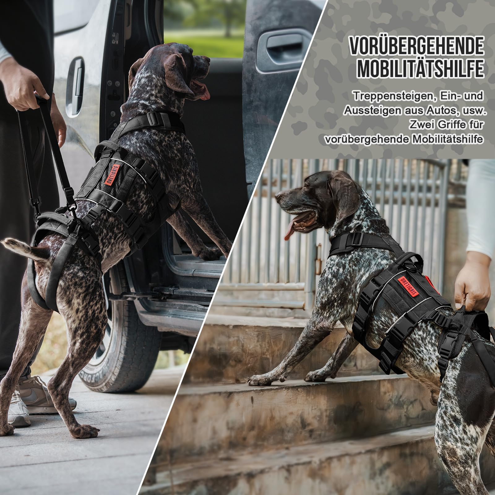 OneTigris Hundegeschirr, SKYEWALKER Unterstützung Geschirr, Einstellbares Hebegeschirr mit 2 Griffen für Unterstützung und Rehabilitation Geeignet für Mittelgroße und Große Hunde Schwarz L