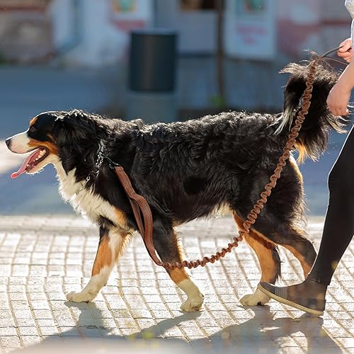 Miniatura 9 de rabbitgoo Correa táctica para perro, correa elástica de entrenamiento para perros con absorción de golpes, correa militar naranja para perros con 2