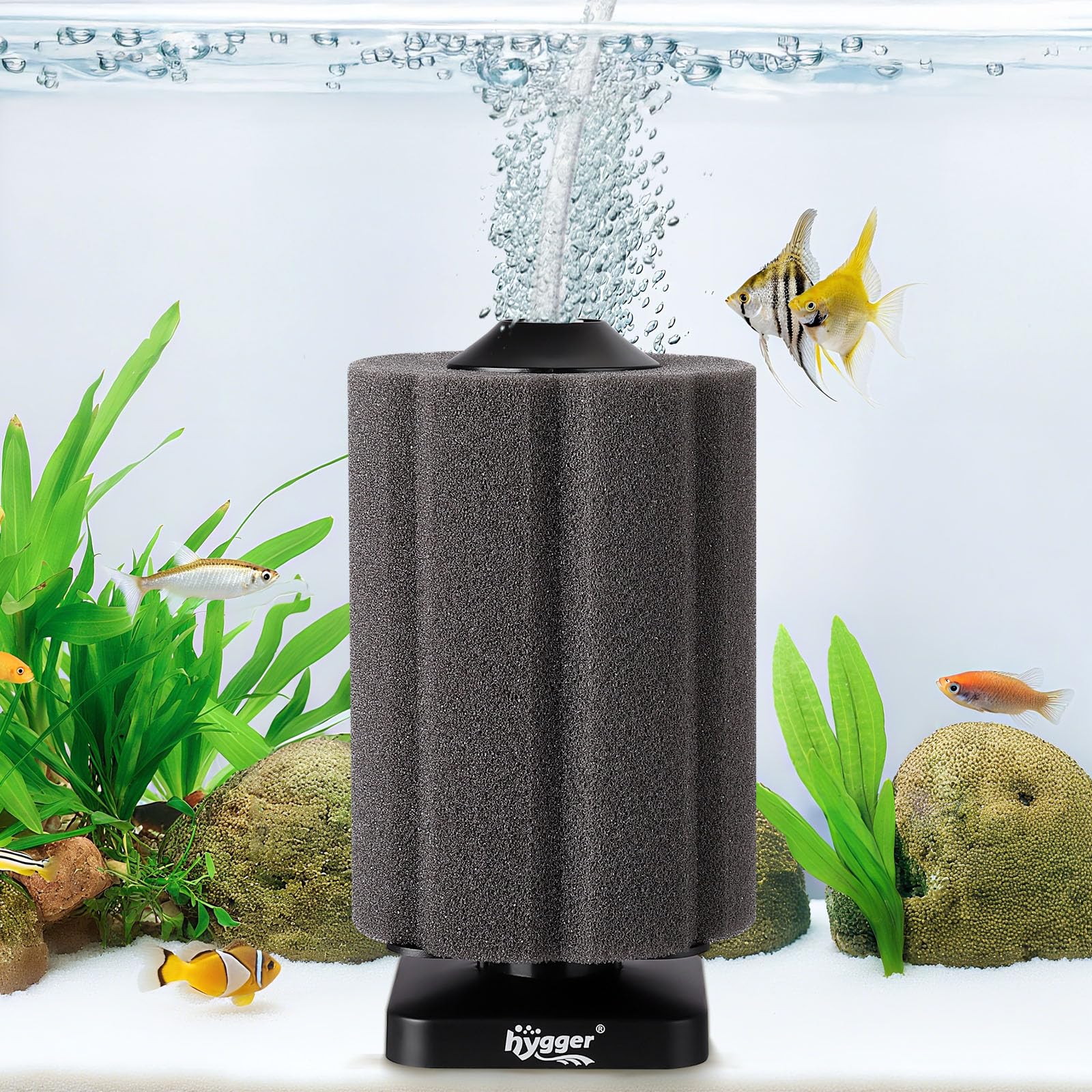 Amazon.co.jp: hygger スポンジフィルター 水槽 小型 投げ込み式 静音 