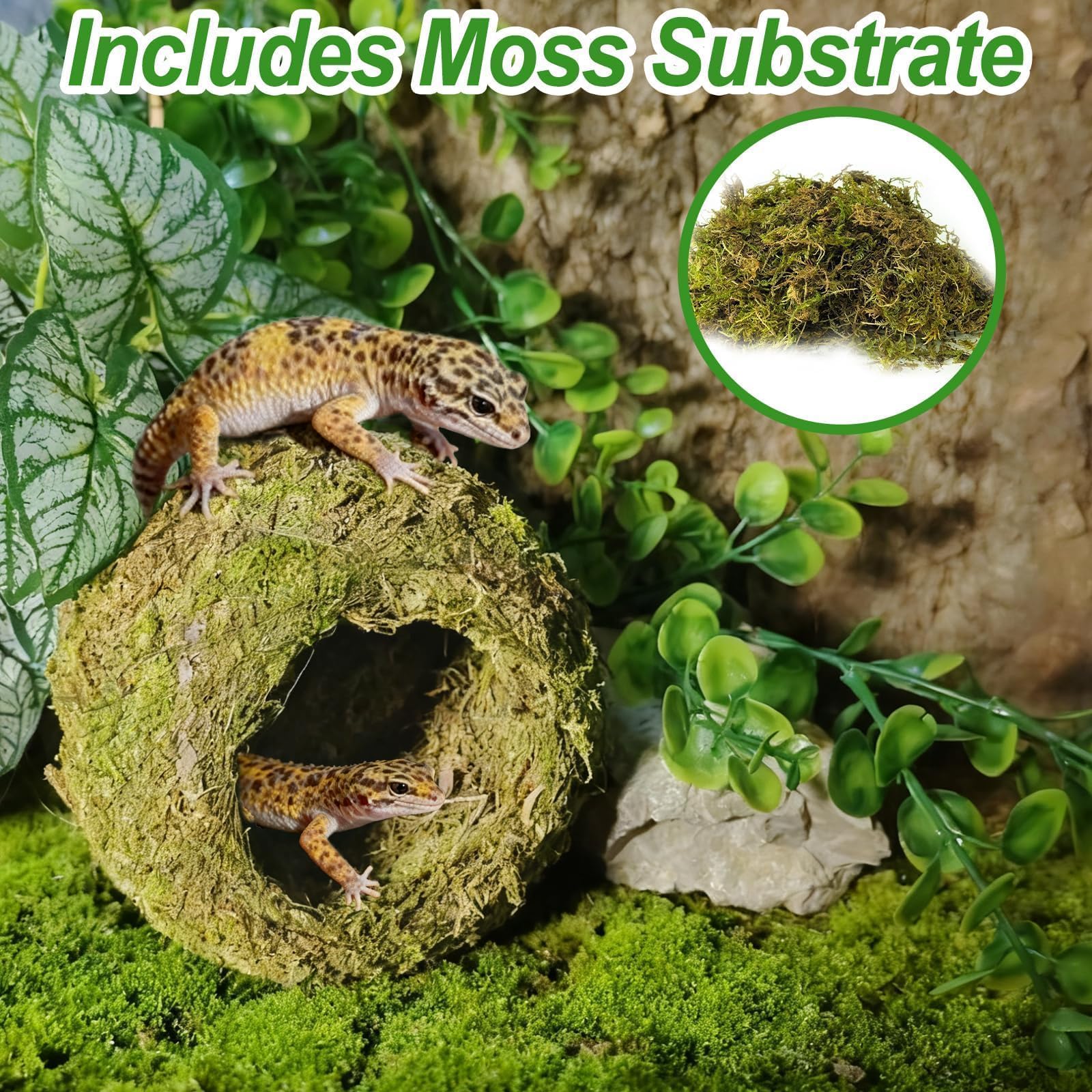 2 escondites de cueva de musgo verde húmedo, un accesorio natural y seguro para tanque de geco crestado, decoración perfecta para terrario y vivero con musgo para lagarto, rana