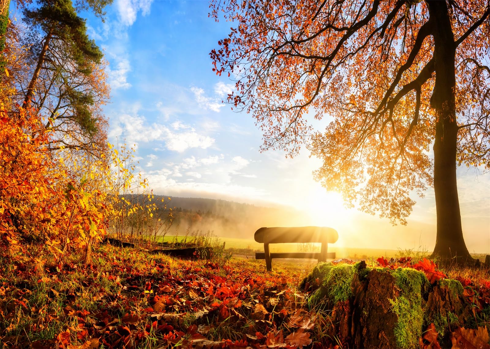 Herbst Hintergrundbilder Mit Einem Kate Herbst Hintergrund Wald herbst-hintergrundbilder-mit-einem-kate-herbst-hintergrund-wald