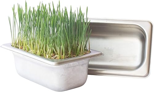 Miniatura 4 de Kit de cultivo de microgreens hidropónicos de acero inoxidable, kit hidropónico infinitamente reutilizable para semillas microverdes y semillas de