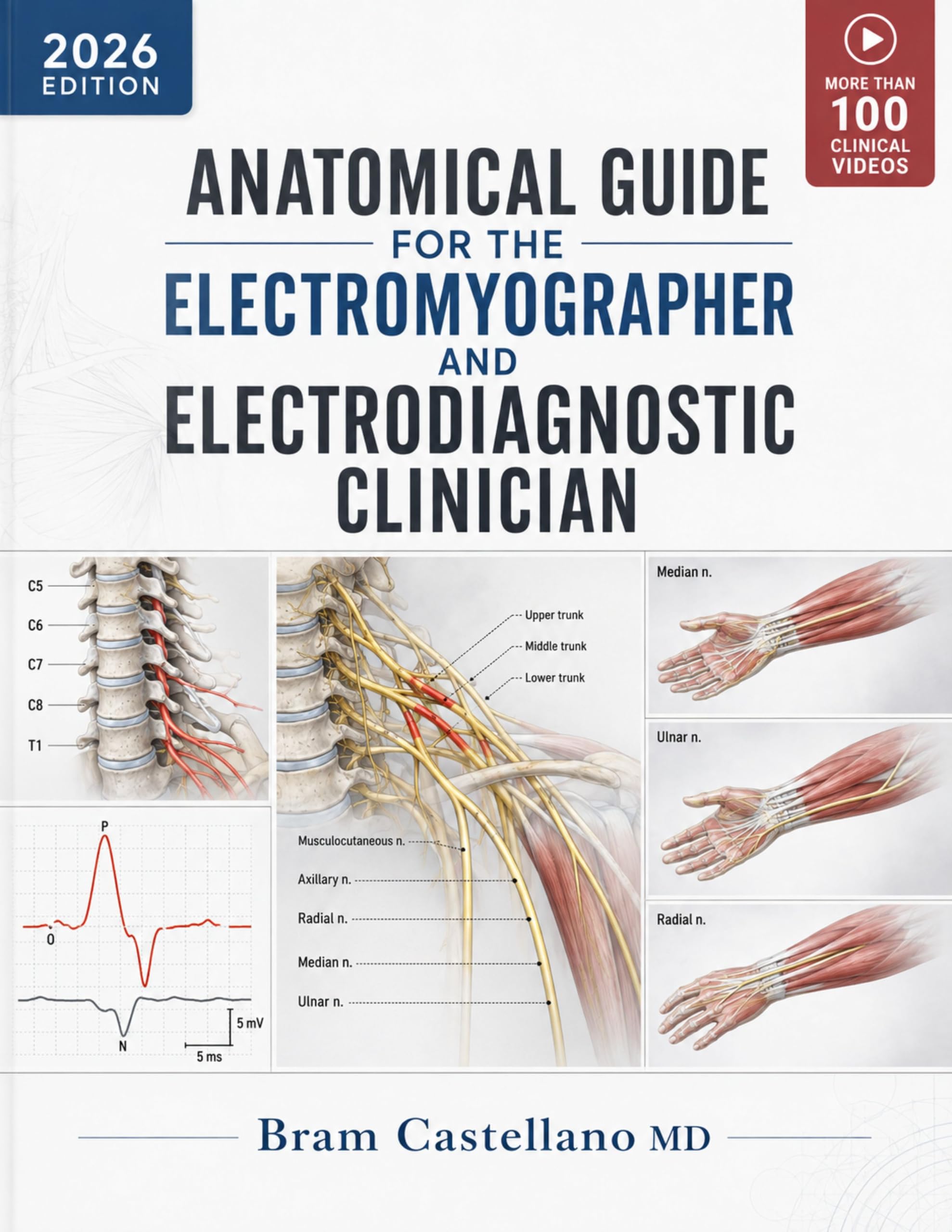 Anatomical Guide for the Electromyographer and Electrodiagnostic Clinician: Muscle Innervation, Peripheral Nerve Anatomy, and Needle Placement for the ... Nerve Conduction Studies (English Edition)