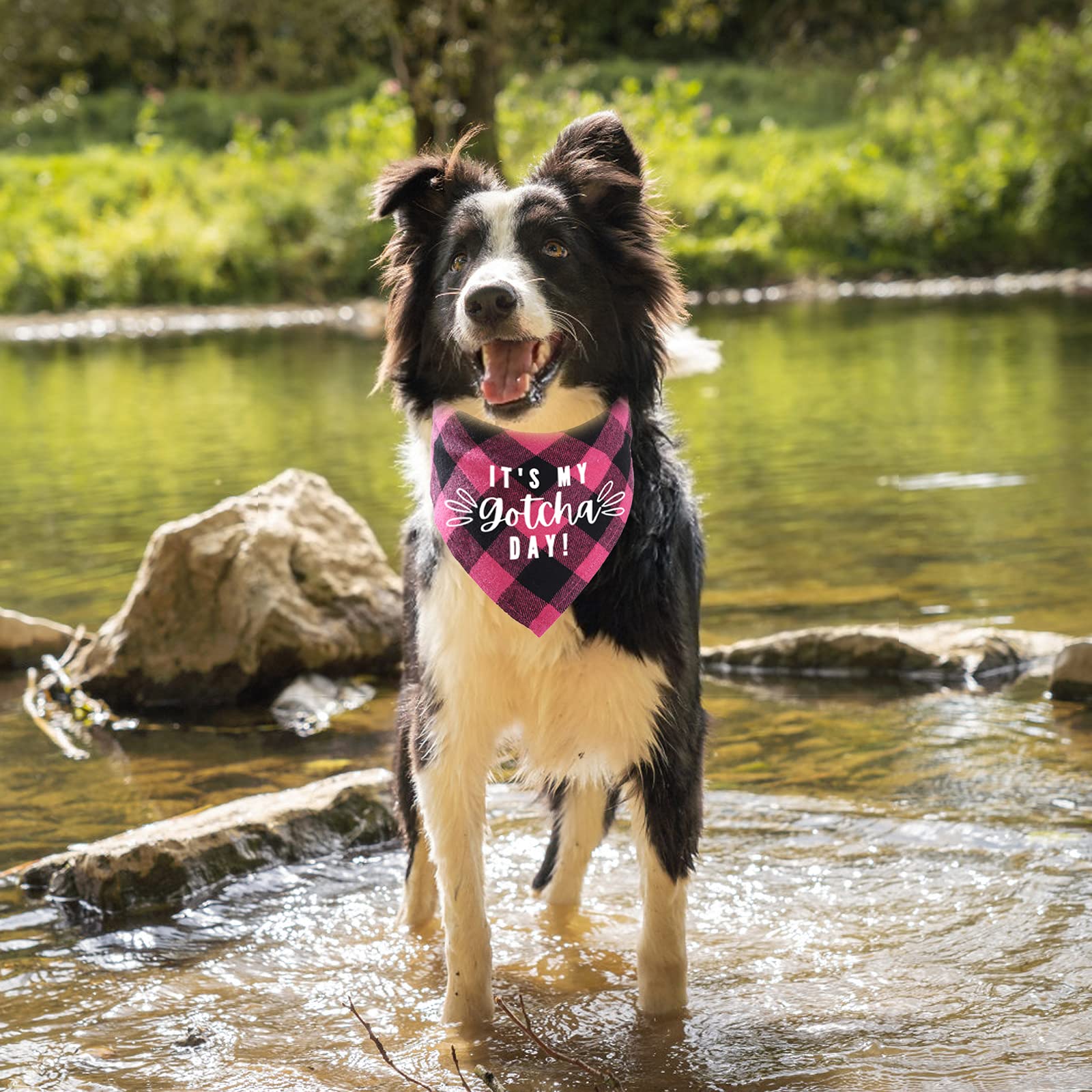 HACRAHO Plaid hond Bandana, 3 stuks geruite hond Bandana