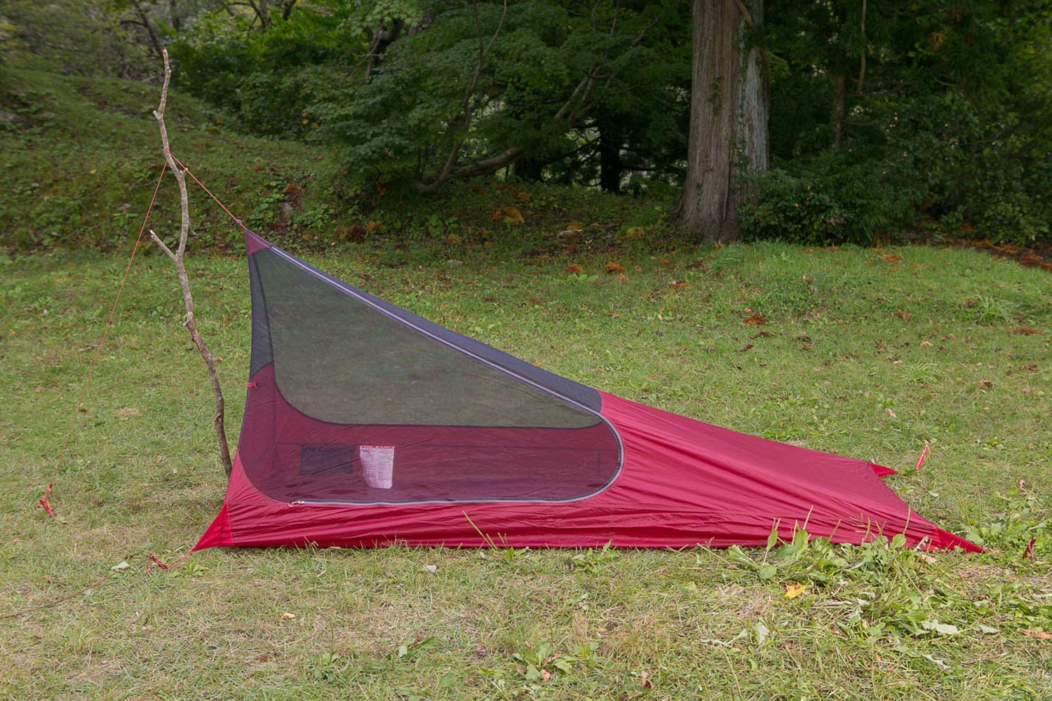 Amazon | MSR アウトドア シェルター スルーハイカー メッシュハウス 1  