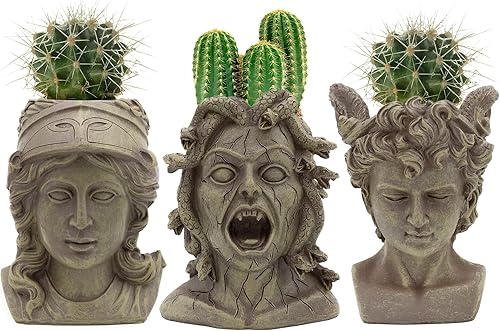 Darware Mini macetas Athena/Medusa/Perseus (juego de 3); pequeños recipientes decorativos de jardinería de interior y decoración del hogar