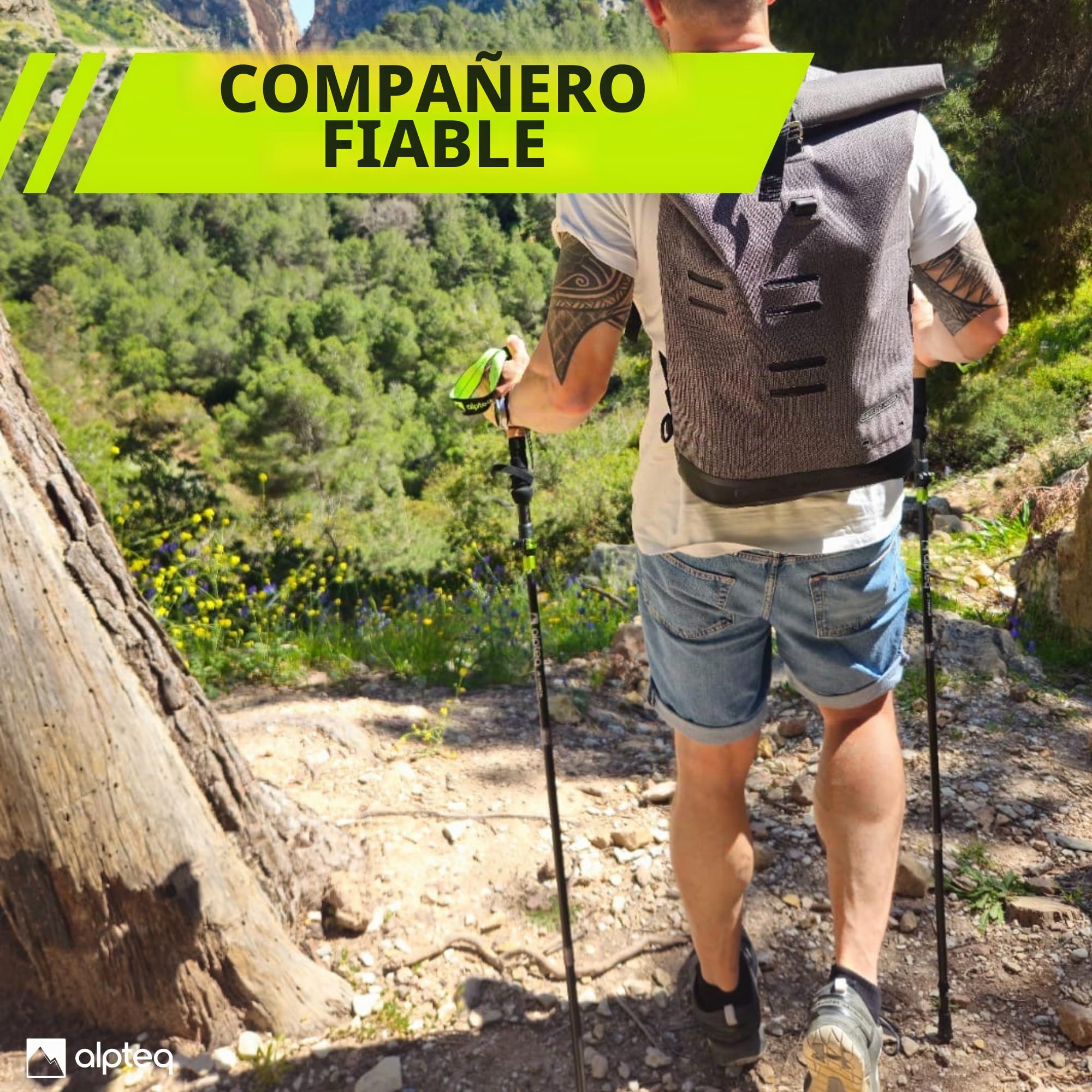 Bastones Plegables de Carbono con Ajuste telescópico y Mango de Corcho – Bastones de Trekking y Senderismo ultraligeros para montaña y Marcha nórdica – para Hombre y Mujer