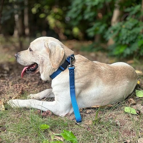 Miniatura 5 de Correa corta de entrenamiento para perro de 12 pulgadas con nailon suave y asa acolchada suave. (12 pulgadas, azul clásico)