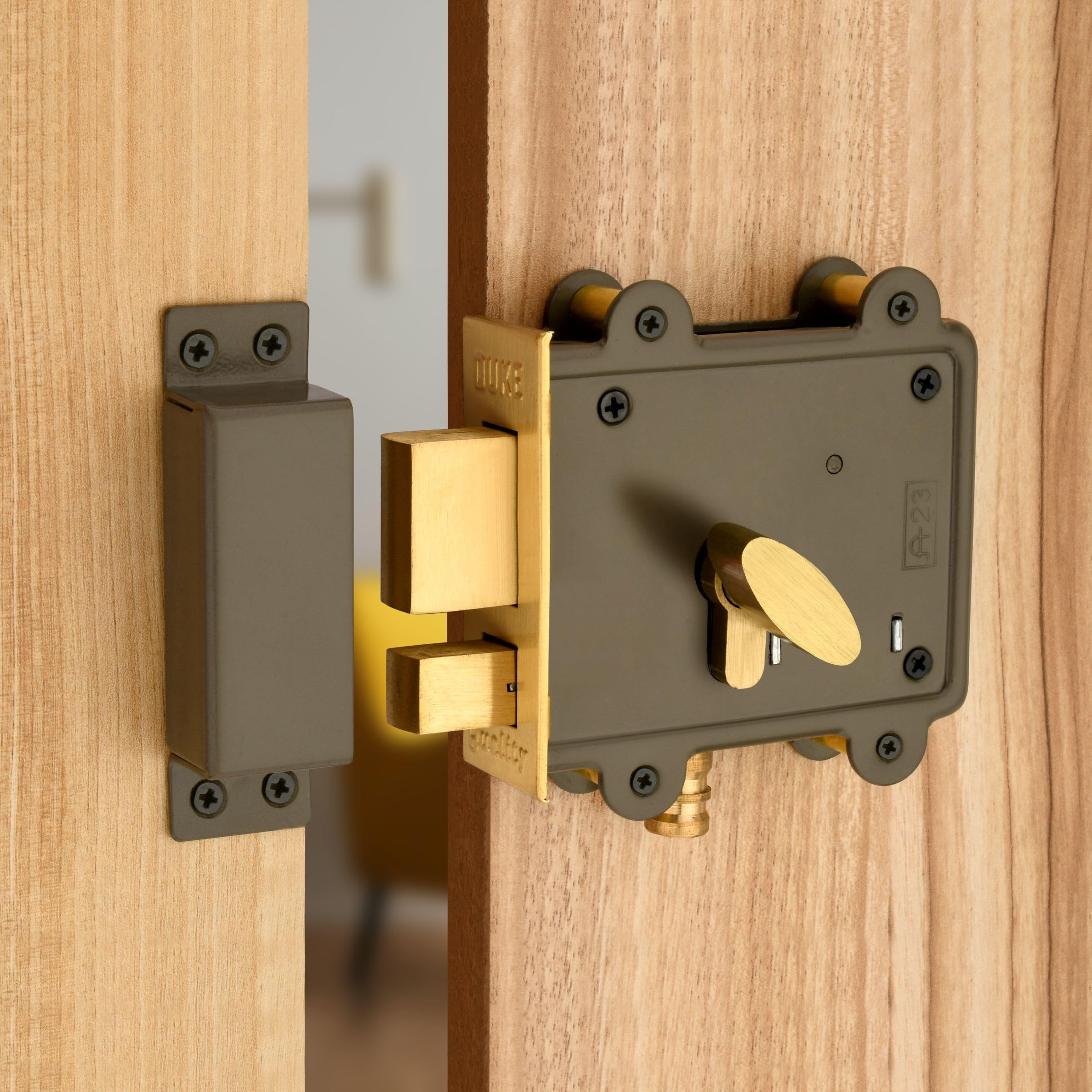 Duke DUKE2000 Key Main Door Lock (Grey) Metallic Finish