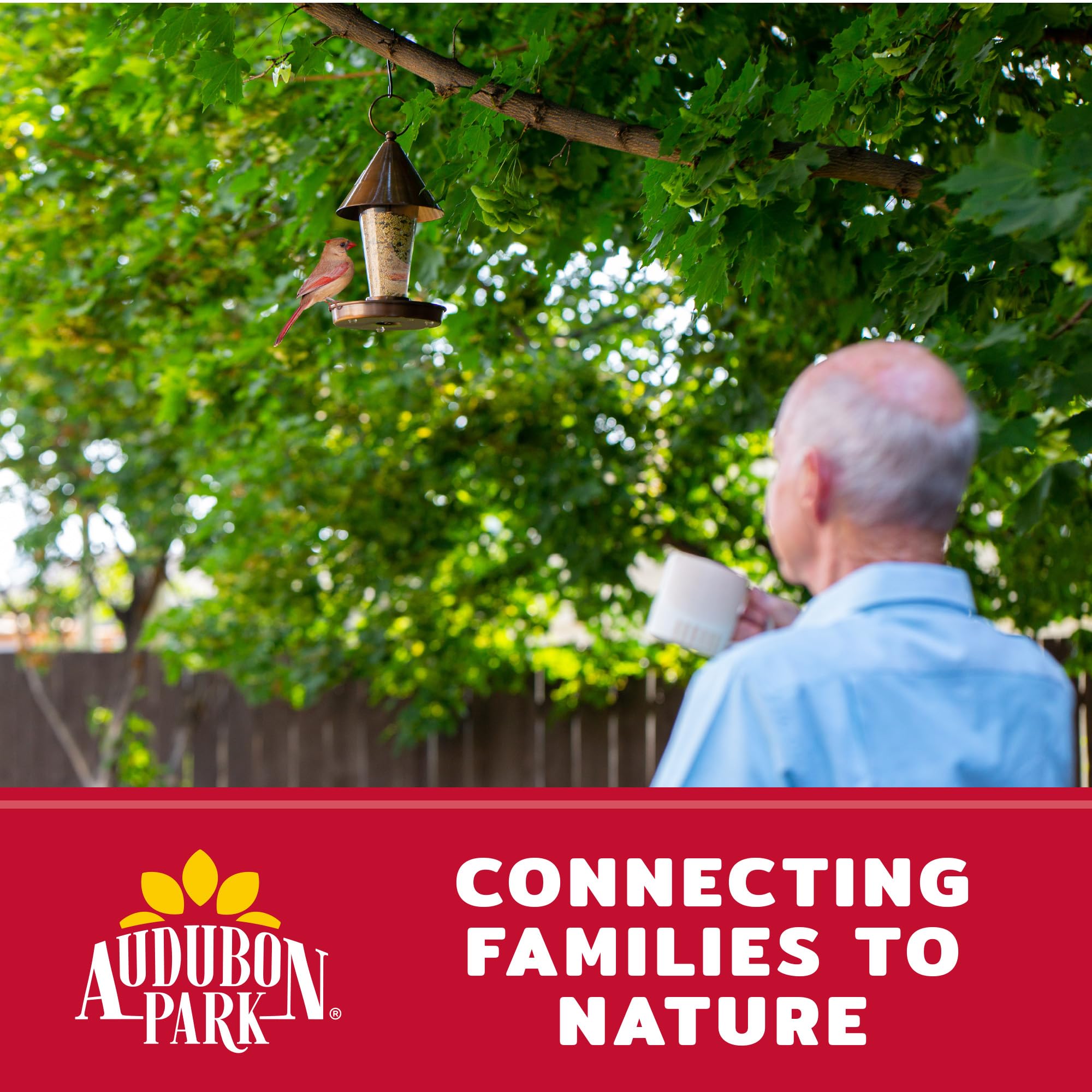 Audubon Park Semilla de pájaro Silvestre Cardenal, 8 Libras – Alimento para pájaros Silvestres para comederos Exteriores, Mezcla de Girasol y cártamo