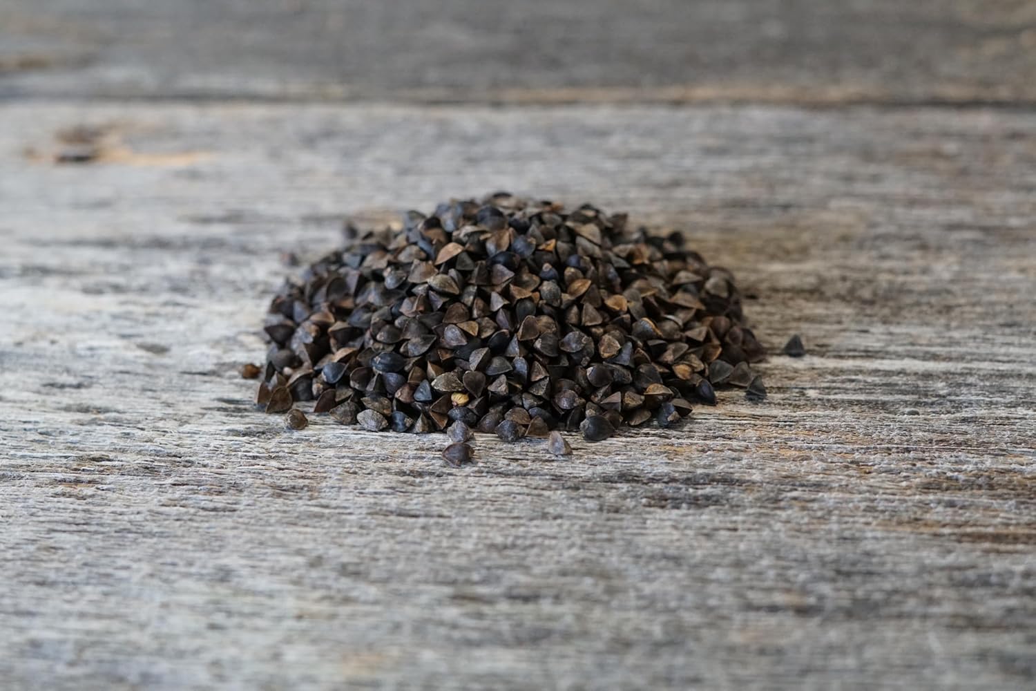 Hale Habitat & Seed Buckwheat Food Plot Seed (50 lb Bulk)