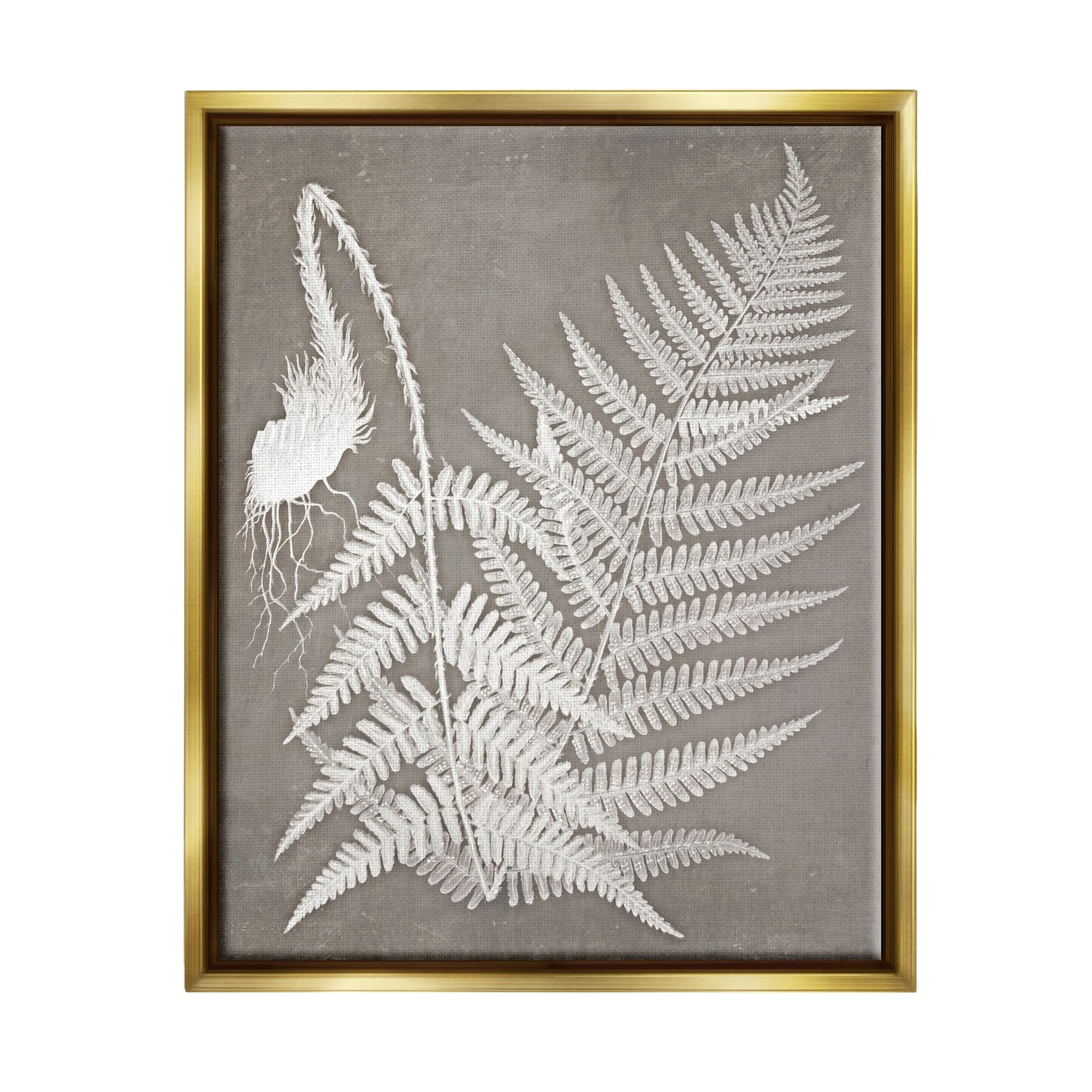 Stupell Industries Layered Botanicals Fern Leaves Nature Vegetation, Design by Graffitee Studios