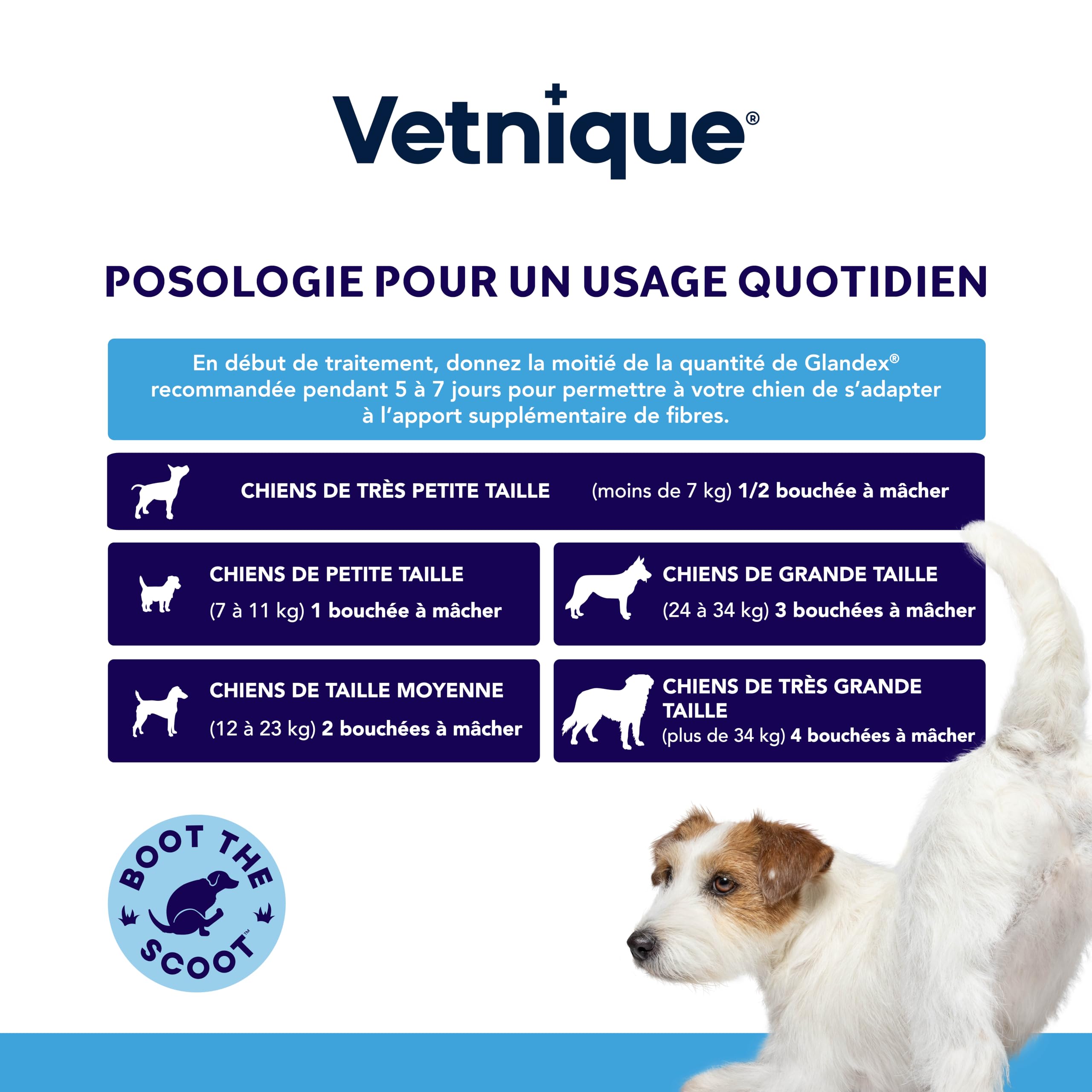 YuMOVE Probiotique Chien + Glandex pour Chien Superpack - Lot 120 Comprimés + 30 Bouchées - ActivBio, Digestion & Glande Anale Chien Routine Découverte