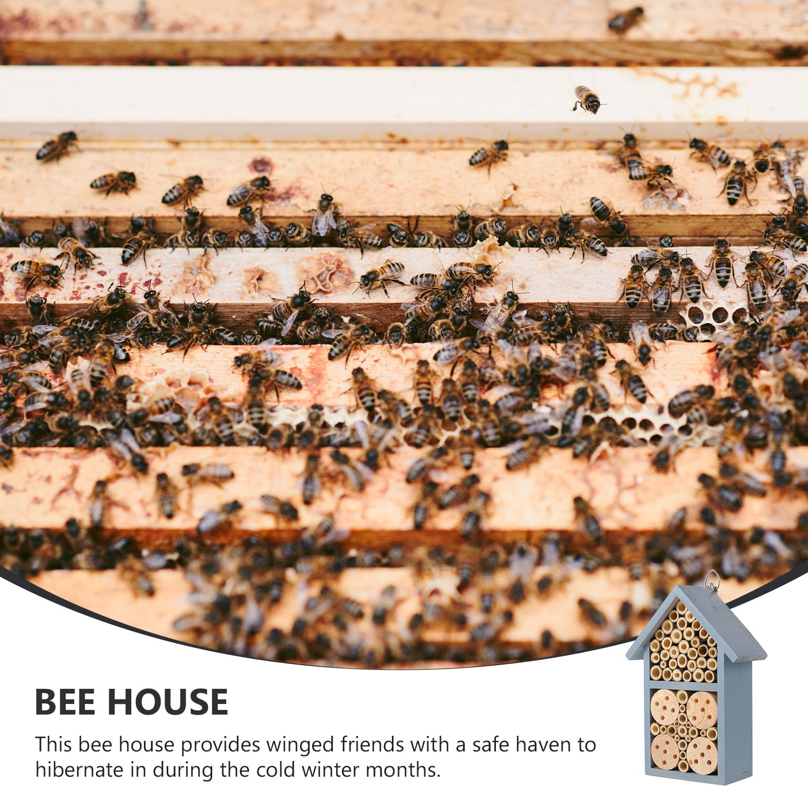 Angoily Holz Bienenhaus mit Bemaltem Garten Nest Dekoratives Insektenhotel mit Sicherem Dach Wetterfestes Holzhaus für Terrasse und Garten