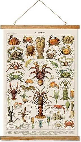 Ovfovy Póster vintage de cangrejo, estética de habitación rústica, impresiones artísticas retro sin decoloración, impreso en lino con marcos de