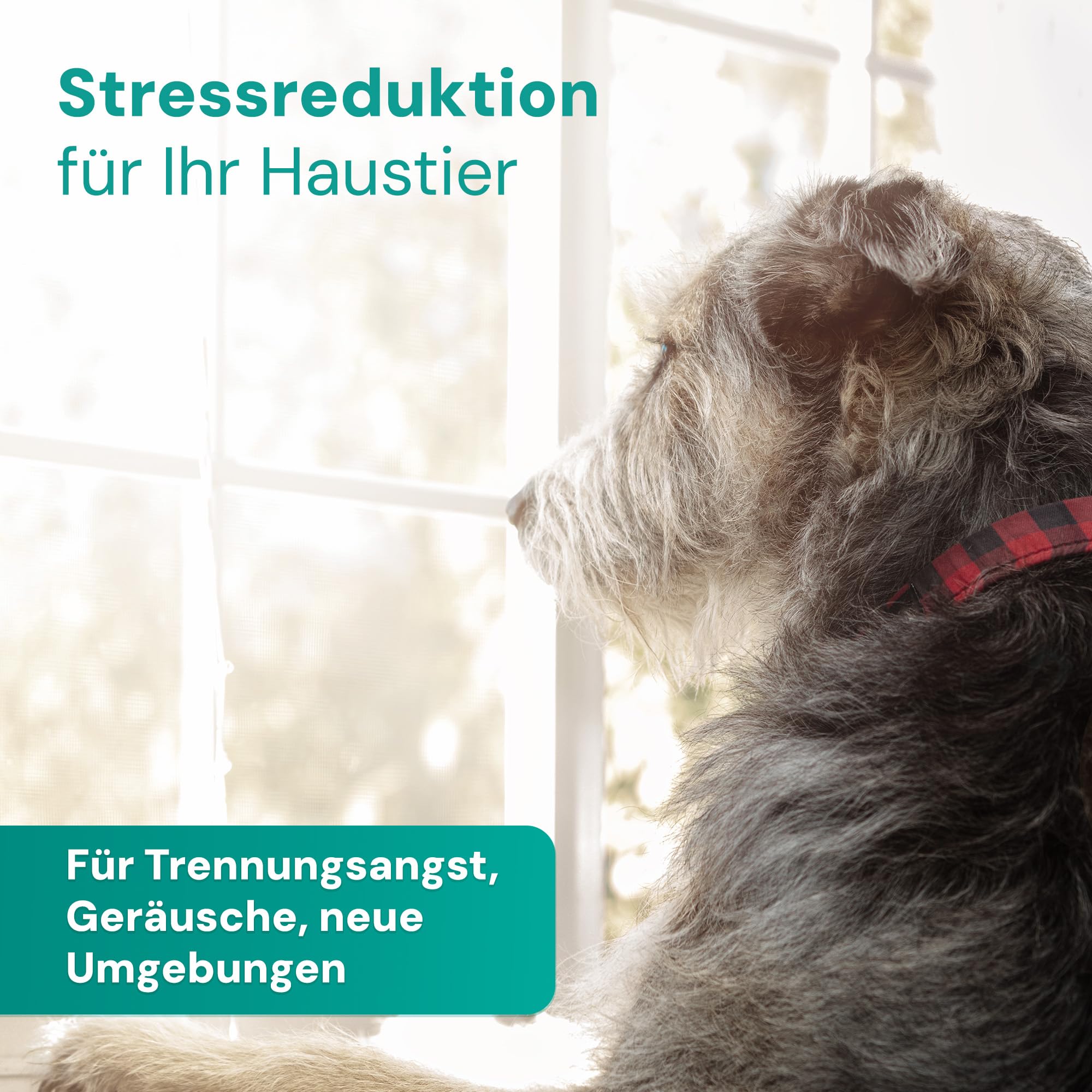 Emmi Pet Remedy Beruhigungsspray 200 ml – Natürliches Anti-Stress Spray für Hunde, Katzen & Haustiere I Beruhigung bei Angst, Trennung, Reisen & Feuerwerk I Mit Baldrian, Vetiver & ätherischen Ölen