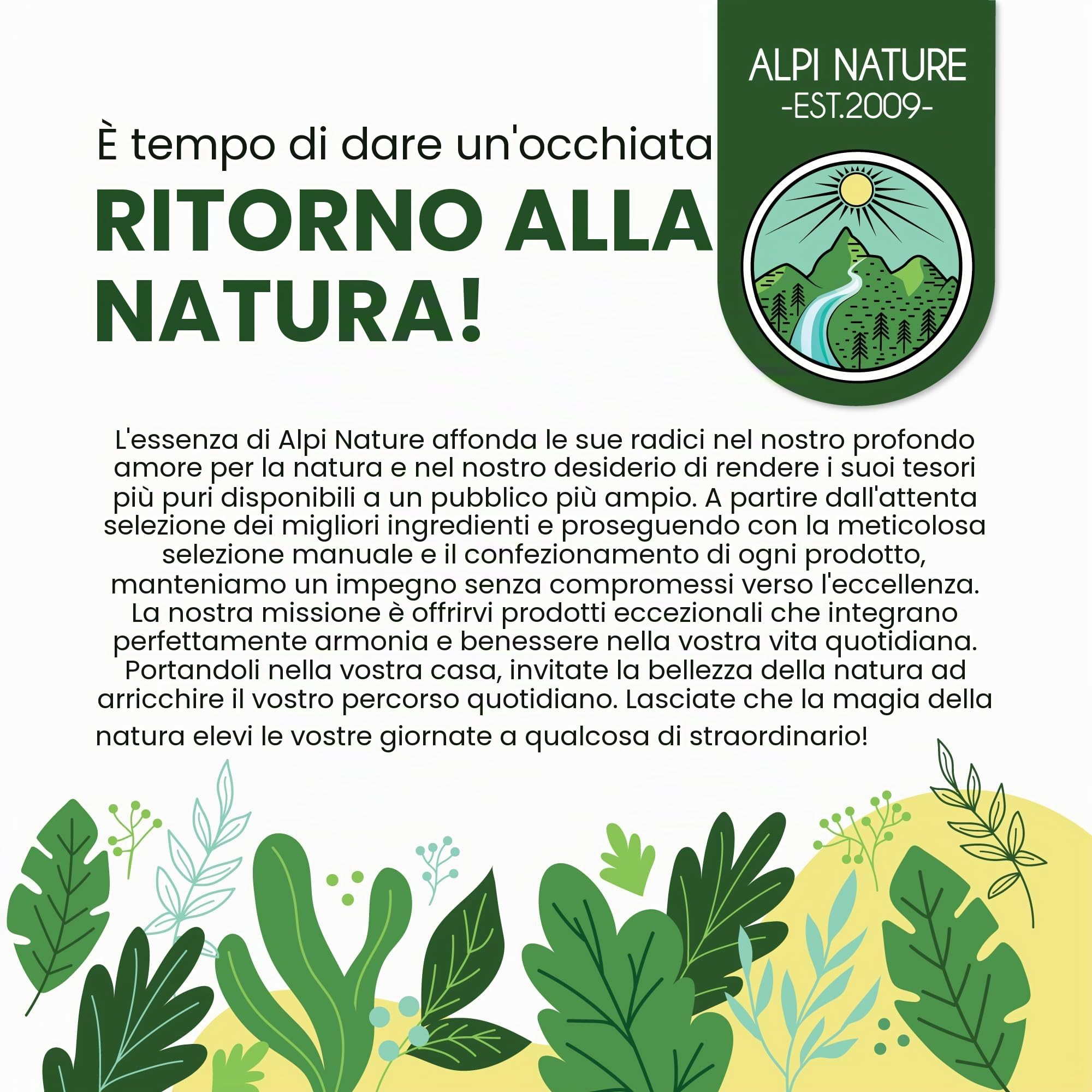 Alpi Nature Rafano in Polvere BIO 500g, Radice di Rafano bio Macinata per Cucina