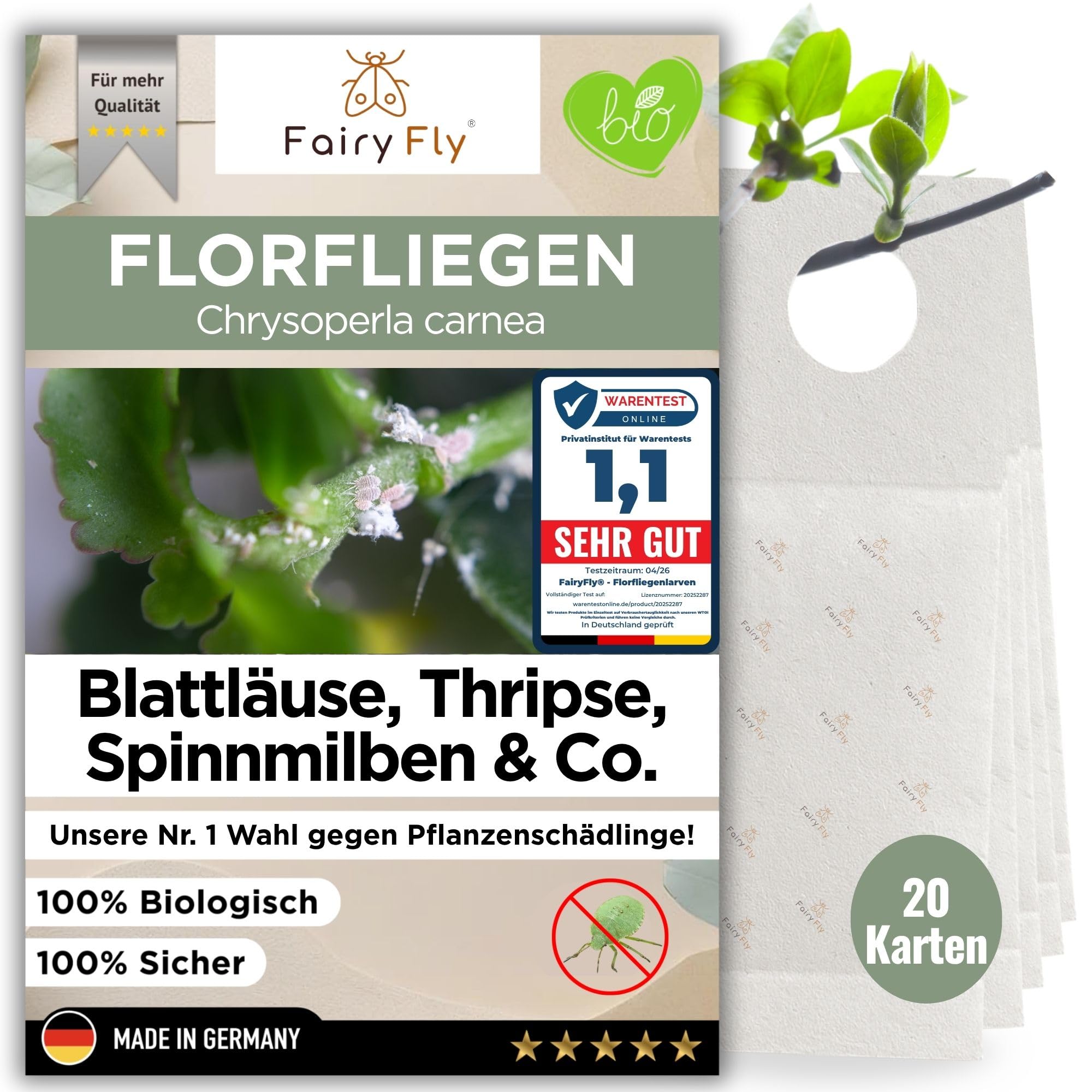 FairyFly® Florfliegenlarven gegen Blattläuse & Wollläuse (20 Karten) – Nützlinge zum Aufhängen für Zimmerpflanzen – biologische Schädlingsbekämpfung ohne Chemie – Florfliegen Eier