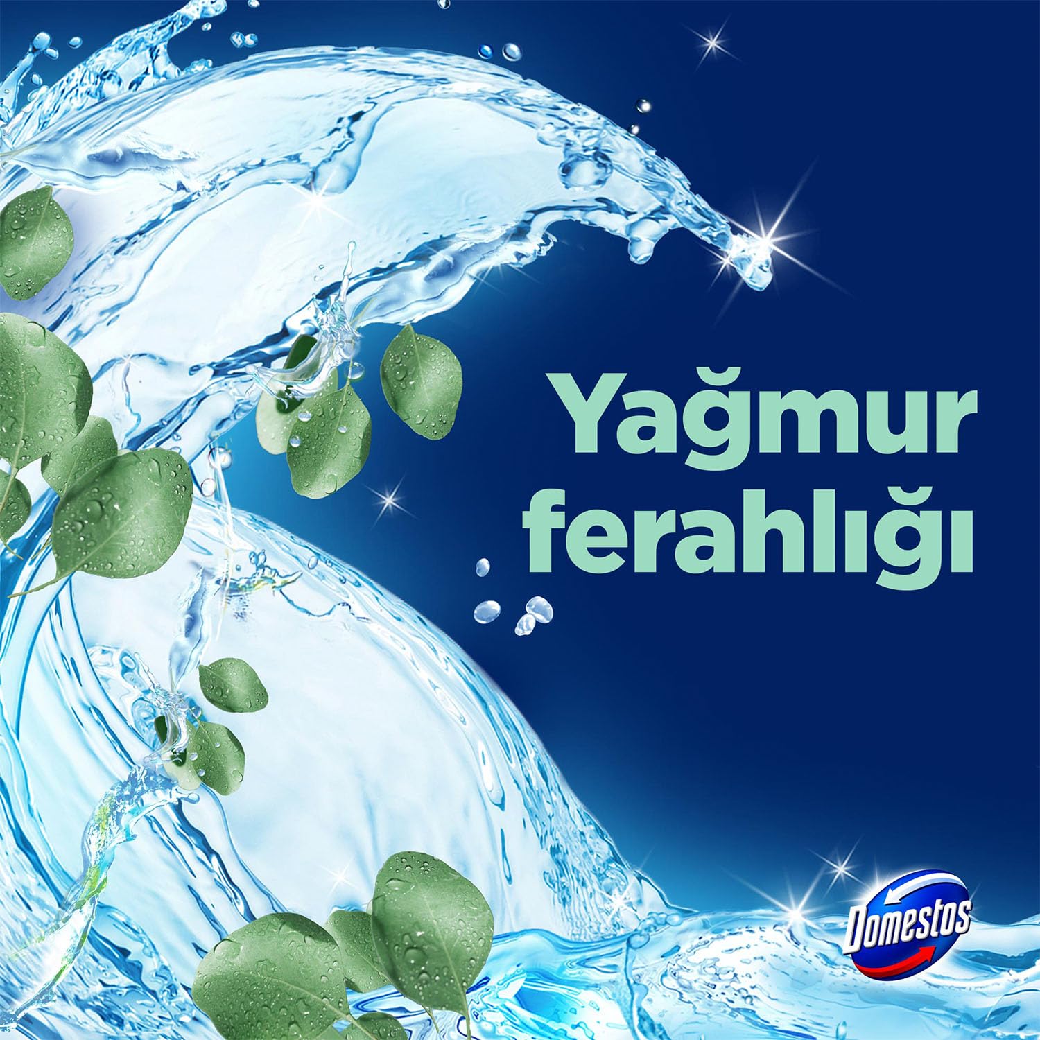 Domestos Tuvalet Bloğu Yağmur Ferahlığı 100 Gram (2 paketi)