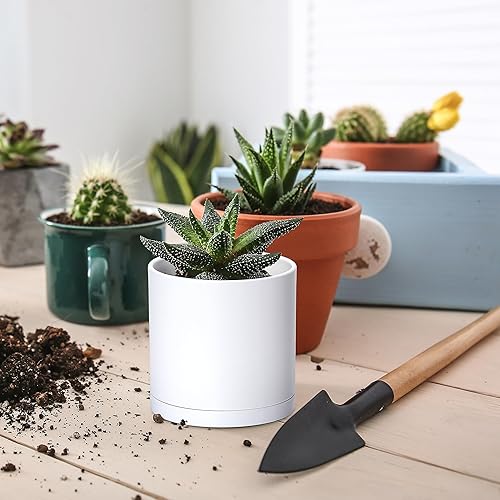 Miniatura 22 de D'vine Dev Paquete de 2 macetas de plástico modernas de 6.5 pulgadas, macetas de jardín pequeñas para plantas con agujeros de drenaje y platillos