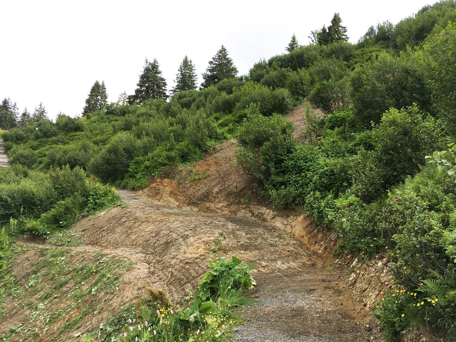 Greentex - Geotextil 24 m² | Hang- & Böschungsmatte mit Begrünung | Erosionsschutz an Böschungen | Einfach zu Verlegen | Langzeitdüngung durch Schafwolle | 1,2 m x 20 m | 100% Biologisch Abbaubar