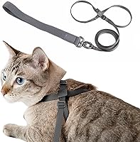 BuddyArmor Escape-Proof Cat Harness & Leash 2-in-1 - Adjustable Anti-Choking, Lightweight for Cats & Small Dogs, IDA Bronze Award (Space Gray)