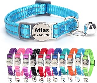 SEOUGEE Cat Collar with Personalised Name Tag, Reflective Cat Collars with Bells and Safety Quick Release Buckle, Anti-Lost Nameplate for Cats Kitten (Light Blue)