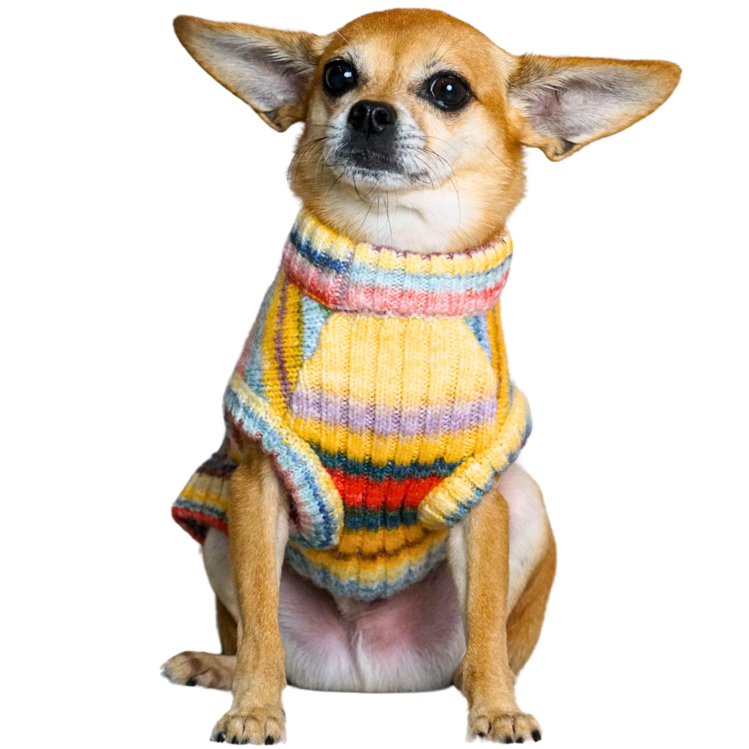 Pull de Noël petit chien tricot chaud contre le froid de l'hiver