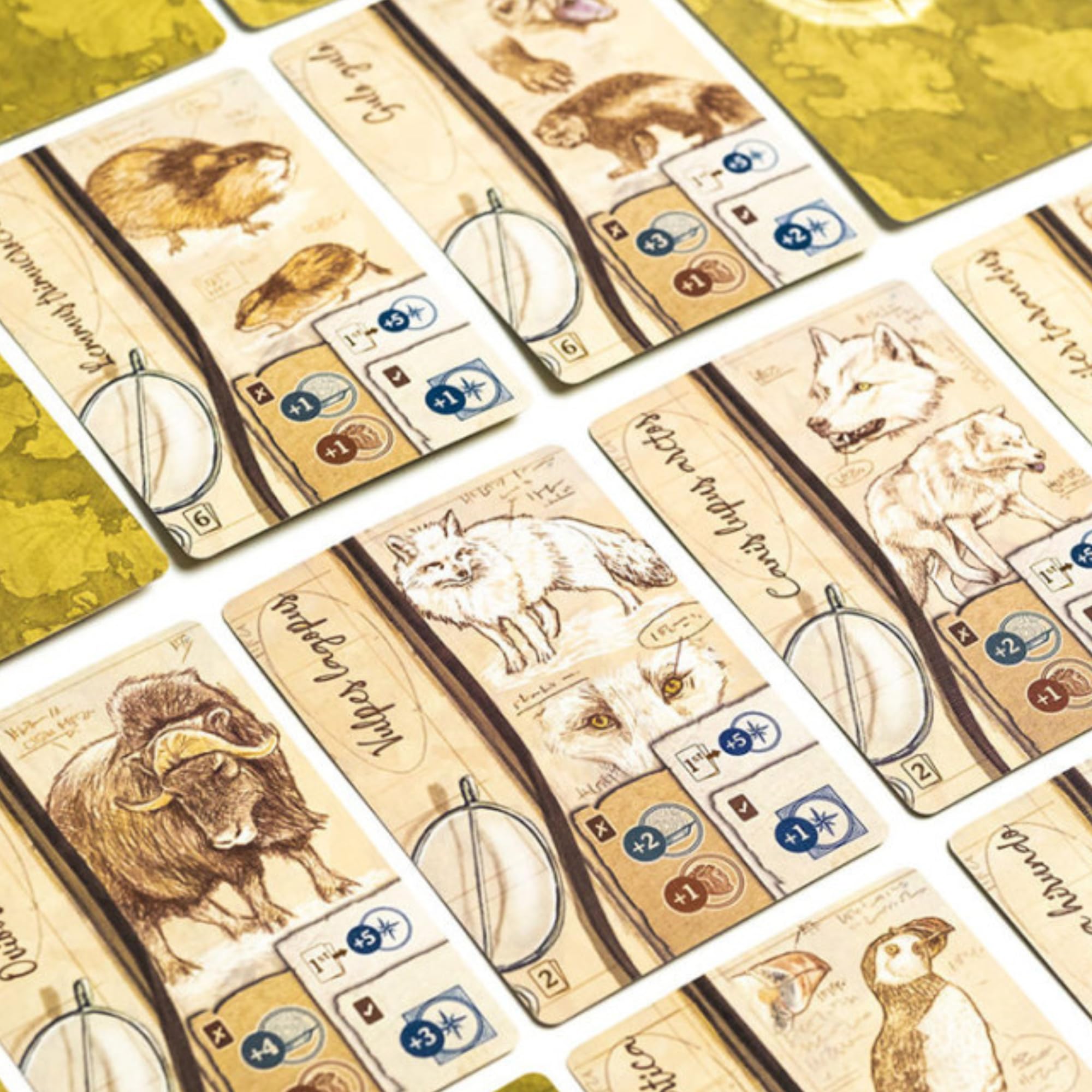2Tomatoes Games | Through Ice and Snow | Juego de Mesa de Exploración en el Ártico | Estrategia y Aventura | 1-4 Jugadores | +14 | Español, Alemán, Inglés y Francés | Histórico, Lugares, Marítimo