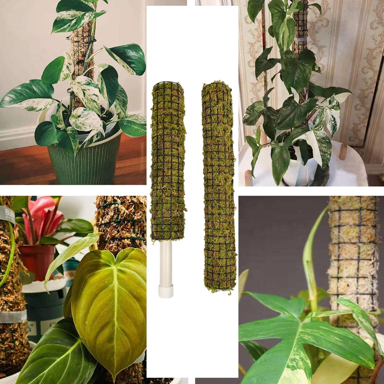 Moosstangen für Kletterpflanzen - Stapelbare selbstbewässernde Moosstäbe für Zimmerpflanzen - Monstera Plant Support zur Bereitstellung Einer hervorragenden Kletterumgebung für Pflanzen