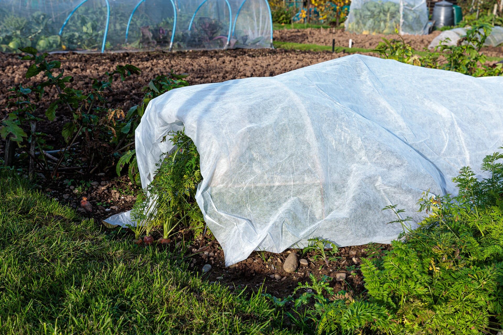 Horticultural Fleece Covers for Plants, Heavy Duty Garden Fleece, Garden Frost Protection for Plants, Fleece Wrap for Plants - Image 3