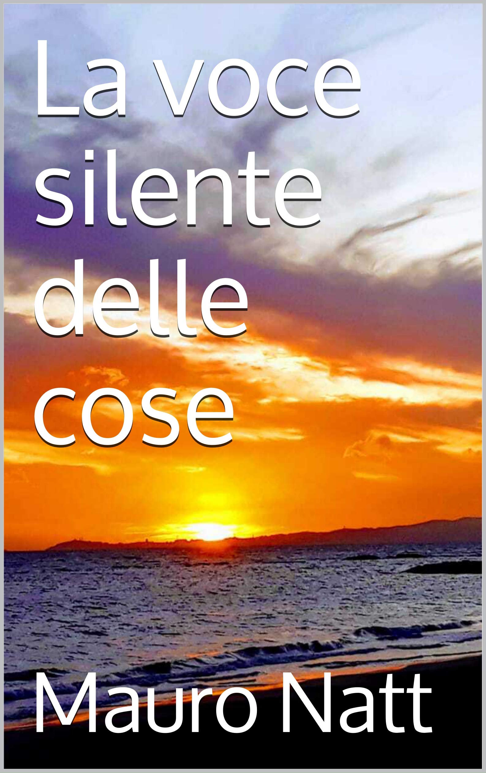 La voce silente delle cose (Italian Edition)