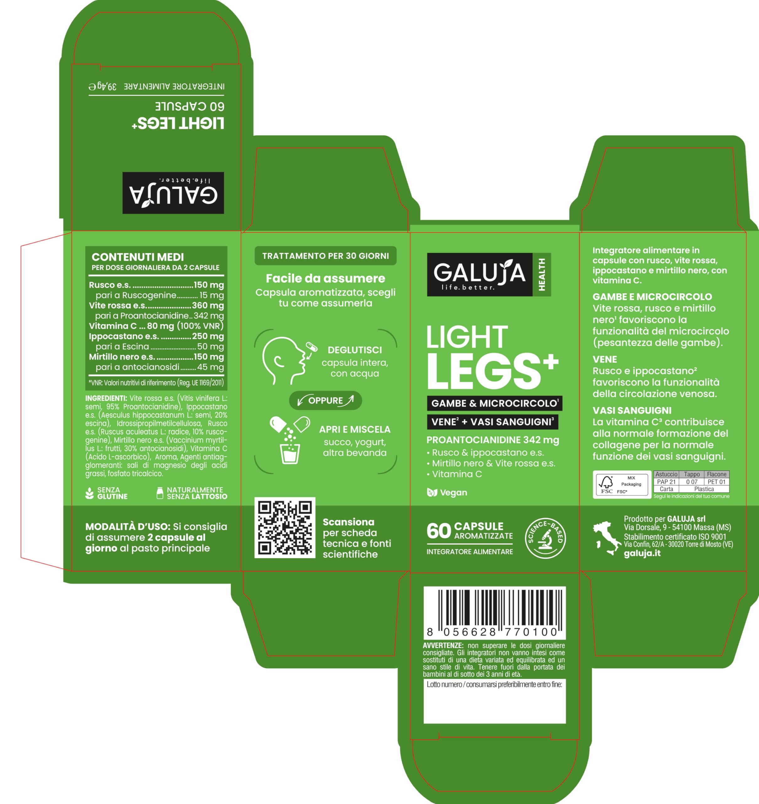 Light Legs+ - Integratore Gambe Leggere & Microcircolo - Proantocianidine 342 mg - 30 giorni (60 caps) - Vegan, senza glutine e lattosio, aroma pesca - Rusco, Ippocastano, Mirtillo