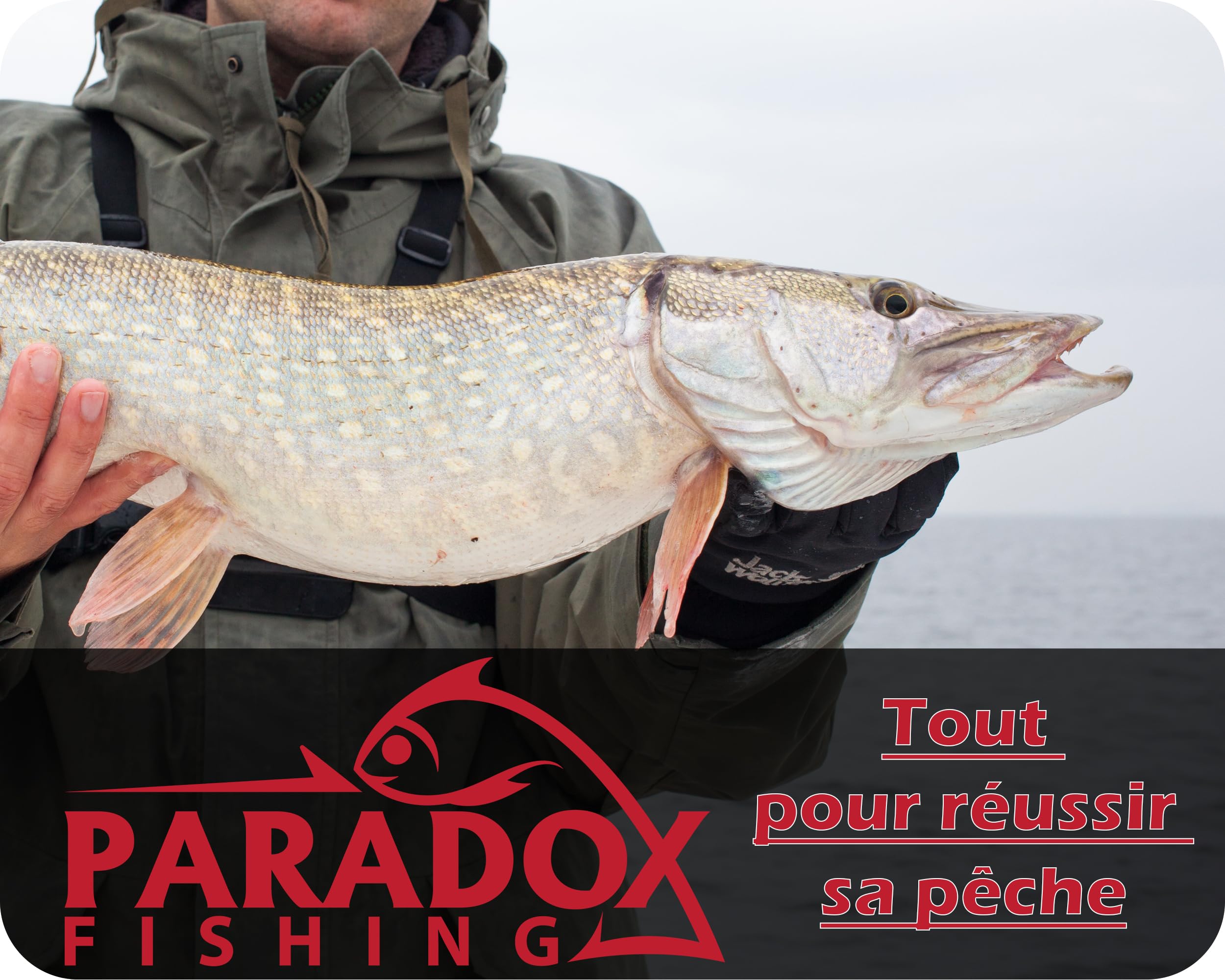 Paradox Fishing Pince de pêche pour poissons prédateurs - 22 cm - Décrocheur d'hameçon - Pince de pêche - Pince à manchon de serrage - Accessoire de pêche - Résistant à la corrosion