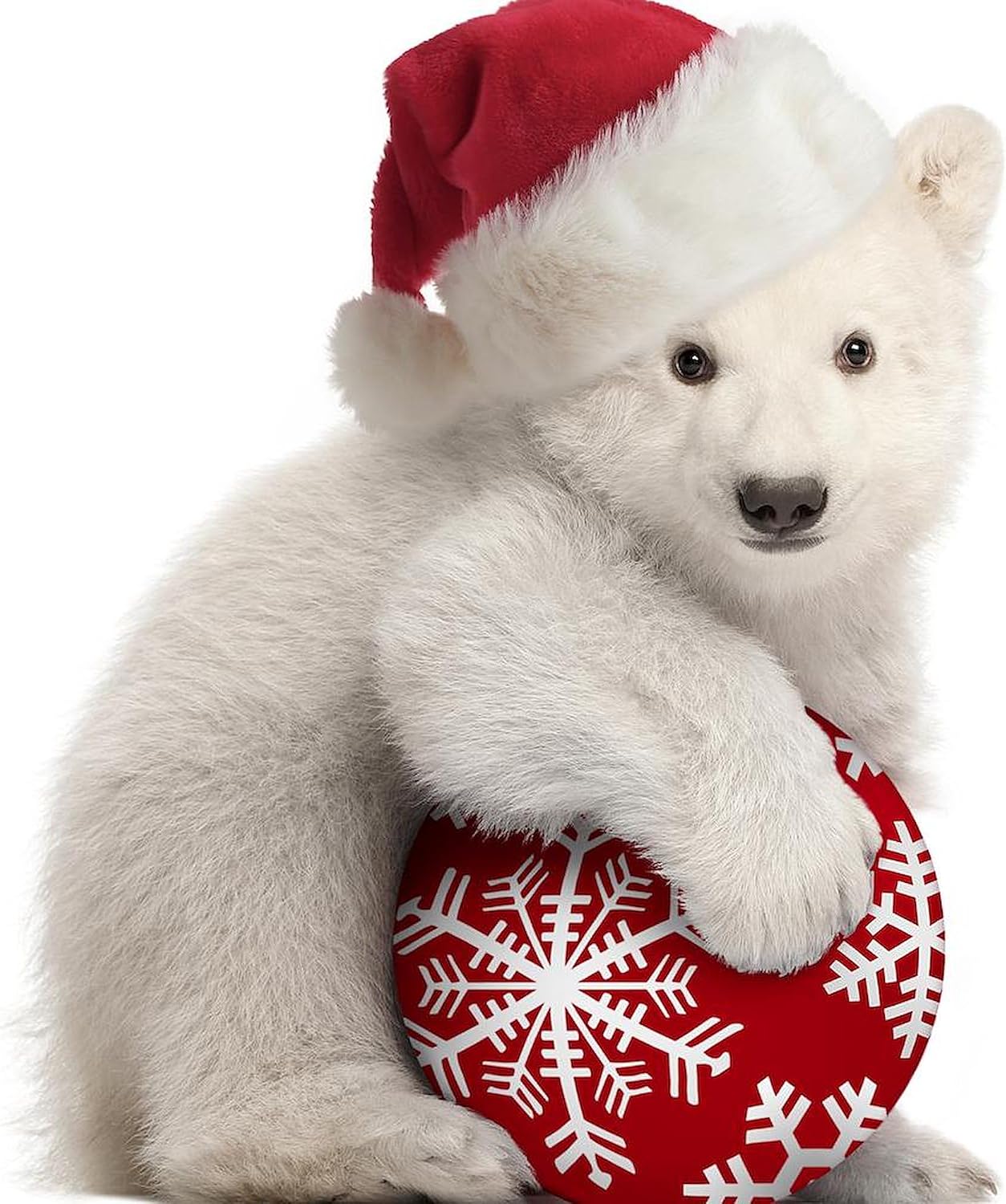 CafePress Polar Bear Cub Christmas Throw Blanket Super Soft Fleece Plush Throw Blanket, 60"x50"
