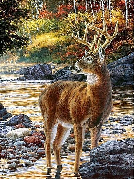 Amazon.com: Kaliosy 5D Diamond Painting Elk Deer by Number Kits, Paint ...