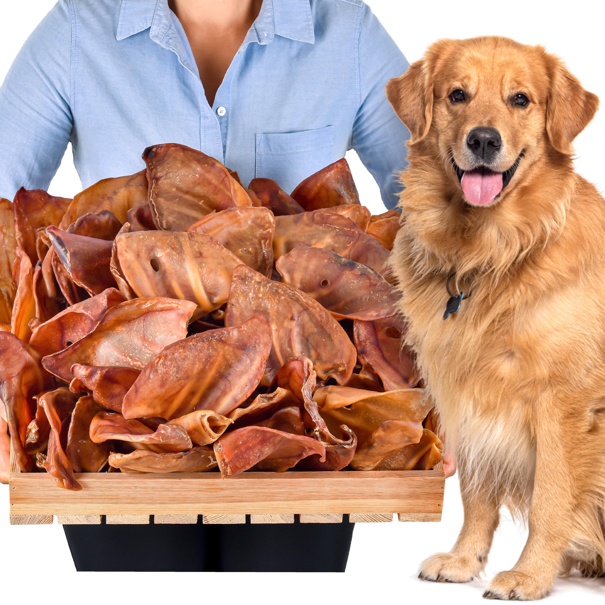Pig Ears for Dogs 100 pcs (4kg) | Natural Pork Chews | Grain Free Long Lasting Treats | Air Dried Whole Pig Ears | Healthy Snack for All Breed
