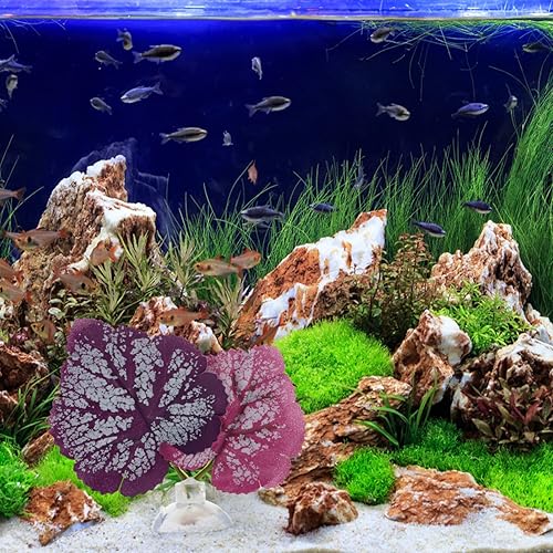 Miniatura 9 de POPETPOP Betta Leaf - 2 piezas de cama de hojas de pez beta, acuario, hamaca de hojas de plantas moradas, ventosa, pecera, tumbona de hojas de pez