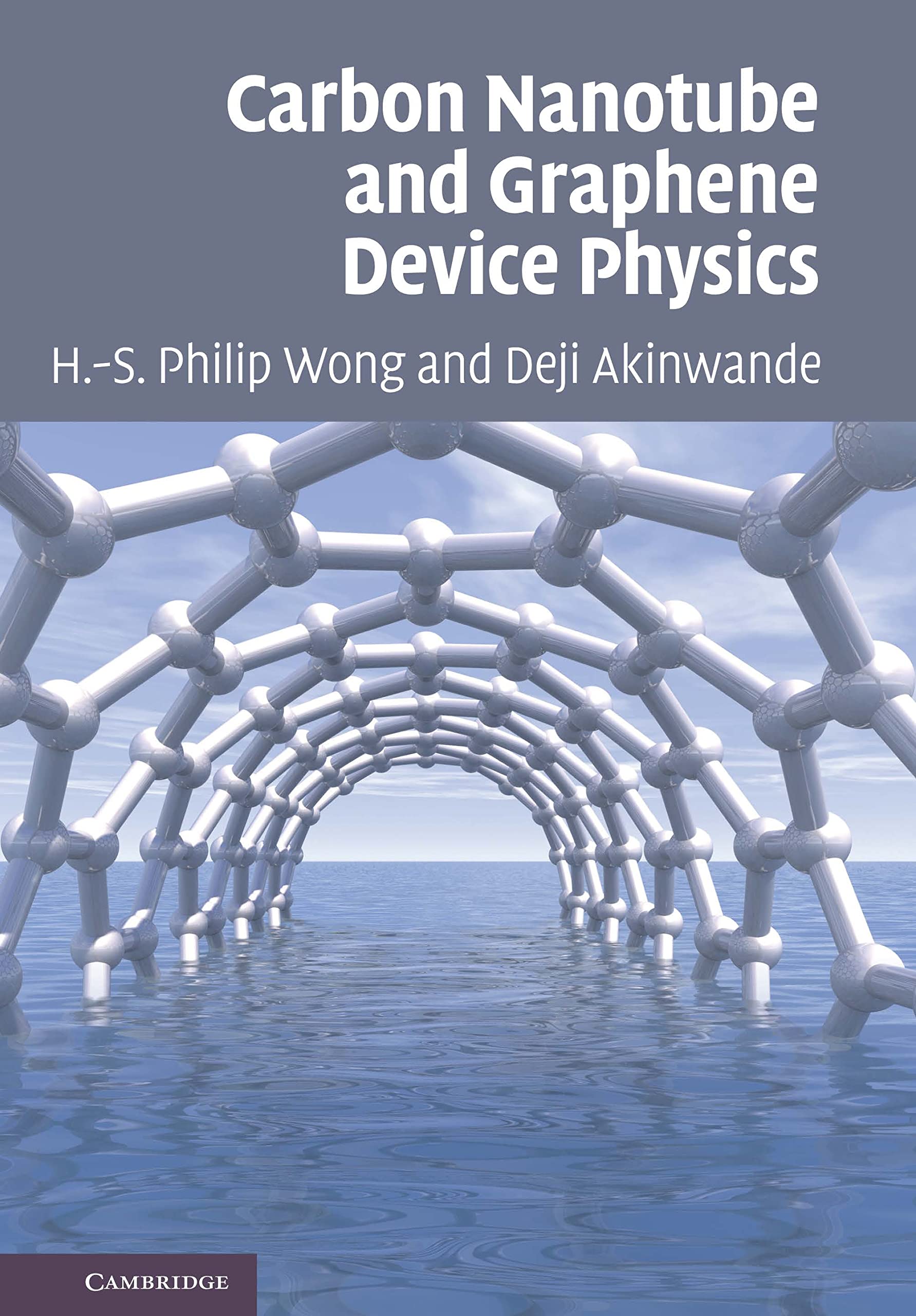 CARBON NANOTUBE AND GRAPHENE DEVICE PHYSICS PDF intelligence overview